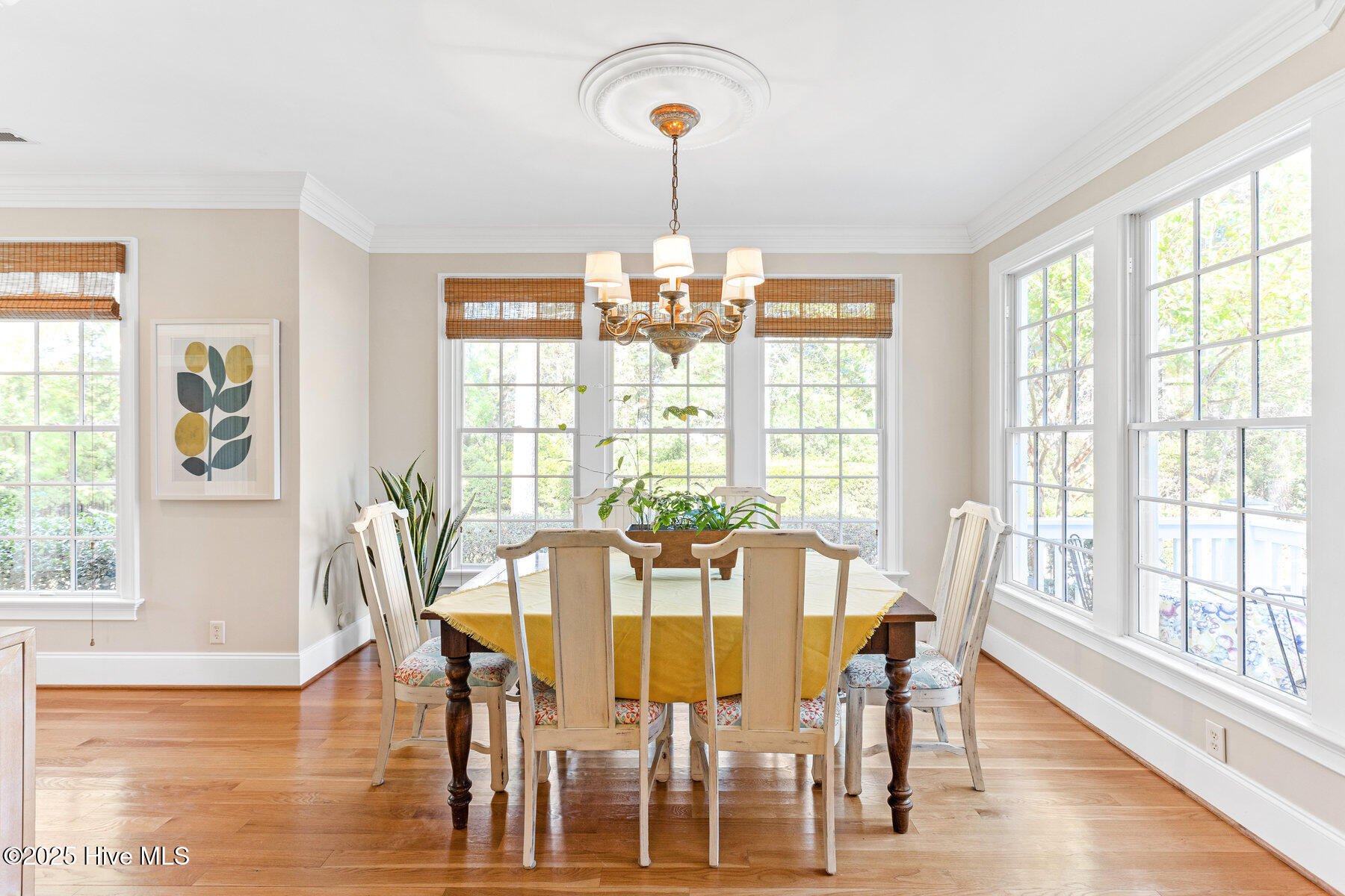 100535740 | Photo 14