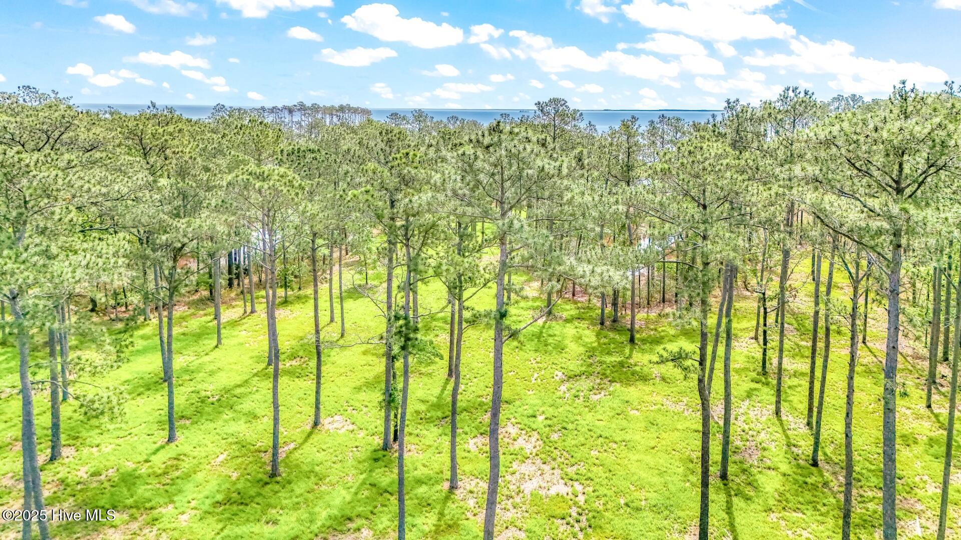 203 River Watch Road, Oriental, NC, 28571