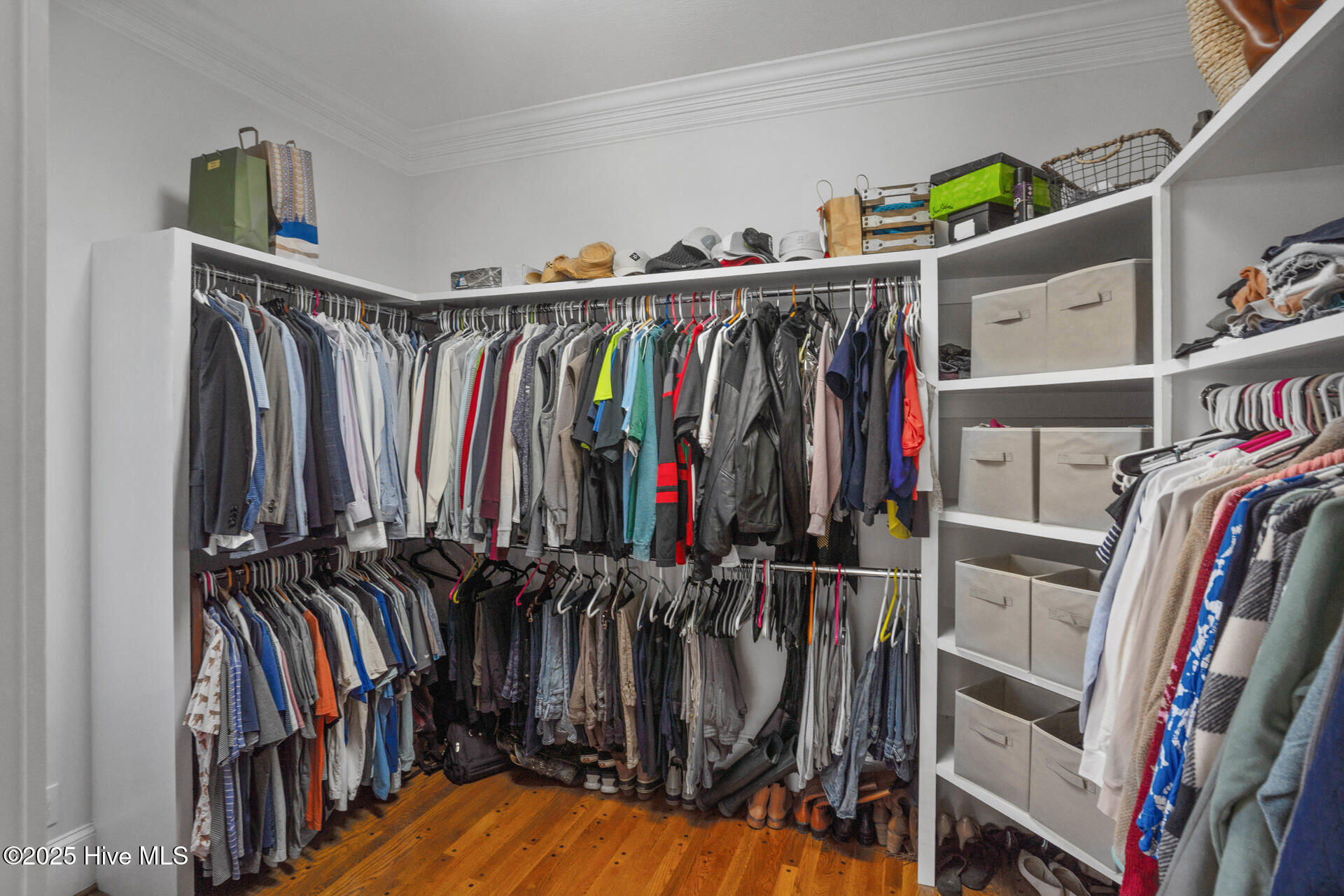 100521291 | Photo 35