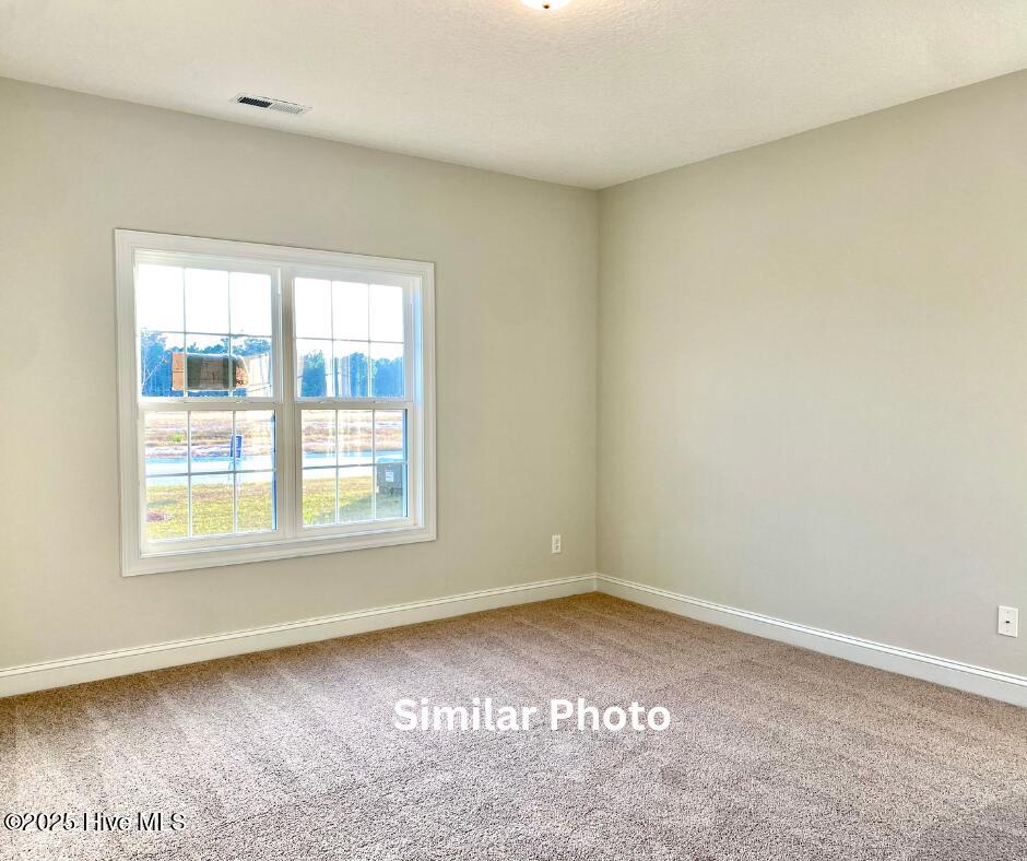 100535932 | Photo 22