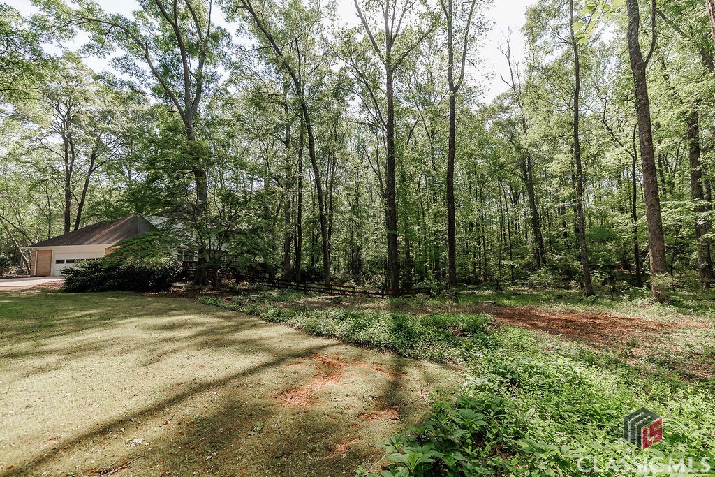 1031 Long Branch Run