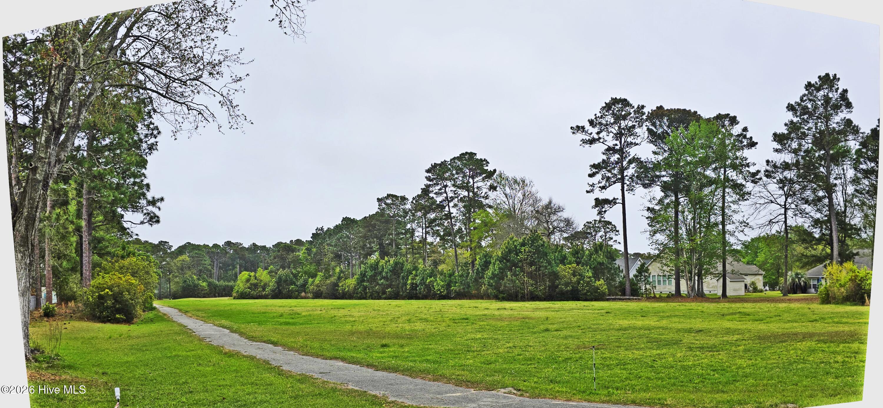 100565101 | Photo 24