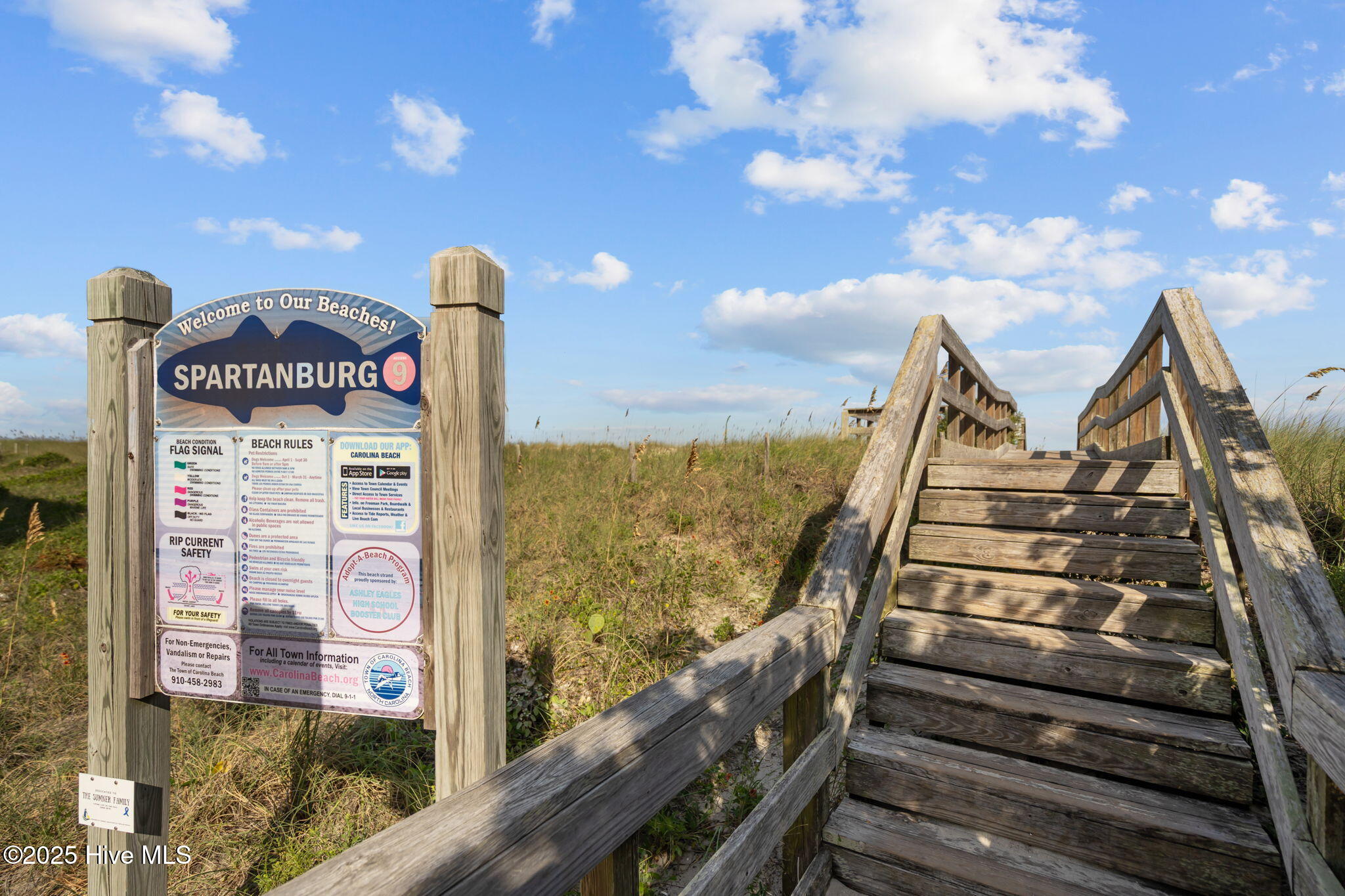 100530733 | Photo 32