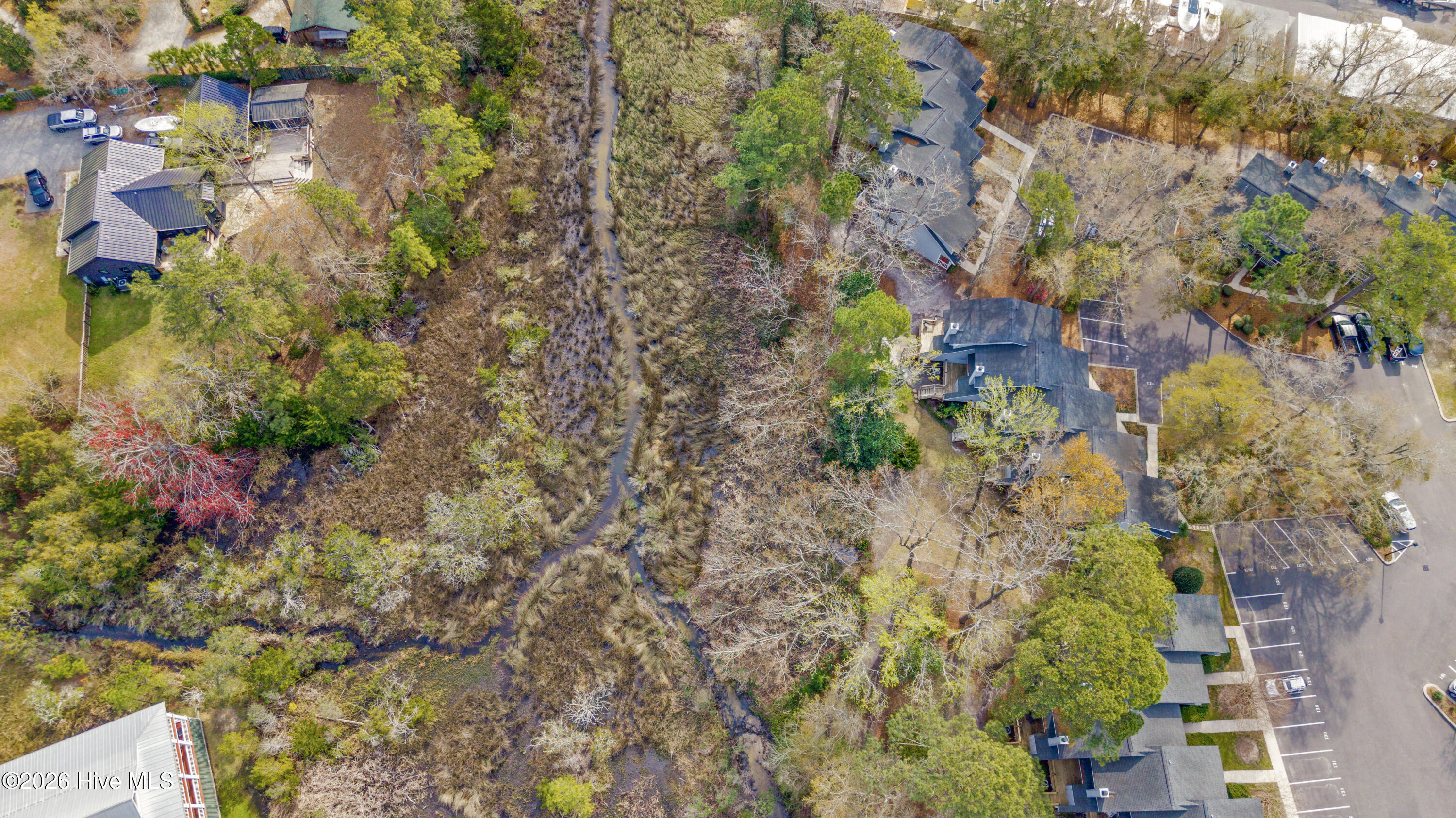 100561639 | Photo 60