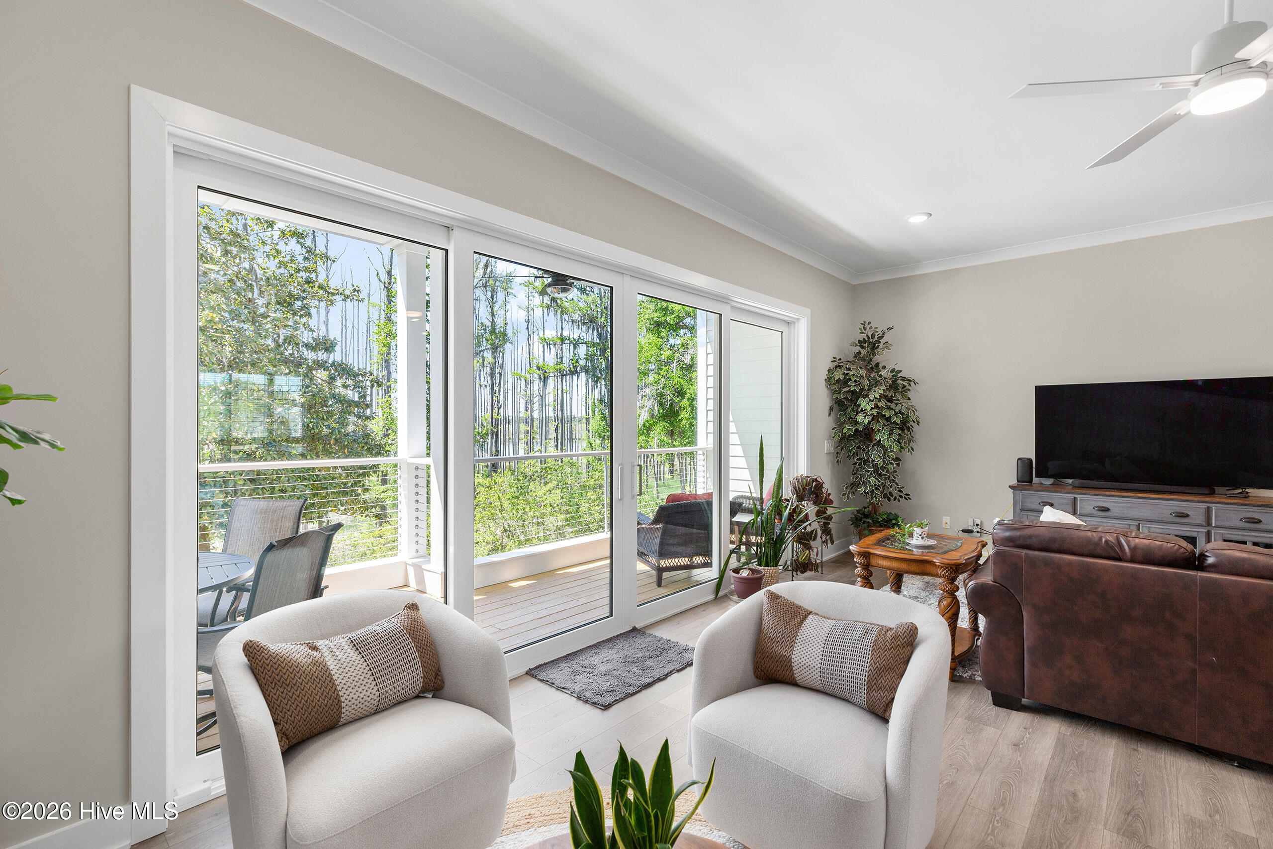 100563450 | Photo 15