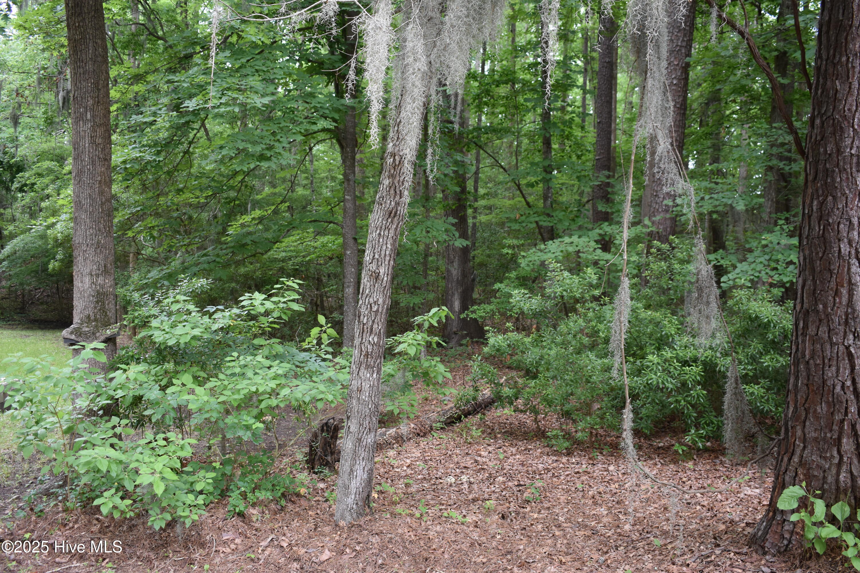 Homes for sale in Blounts Creek, NC | Lot 6 River Rd, Blounts Creek, NC 27814 | MLS# 100512257