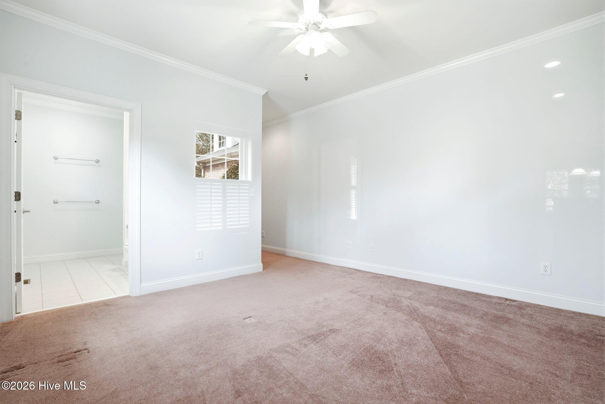 100563594 | Photo 46