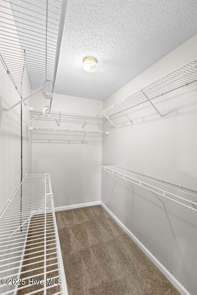 100546857 | Photo 41