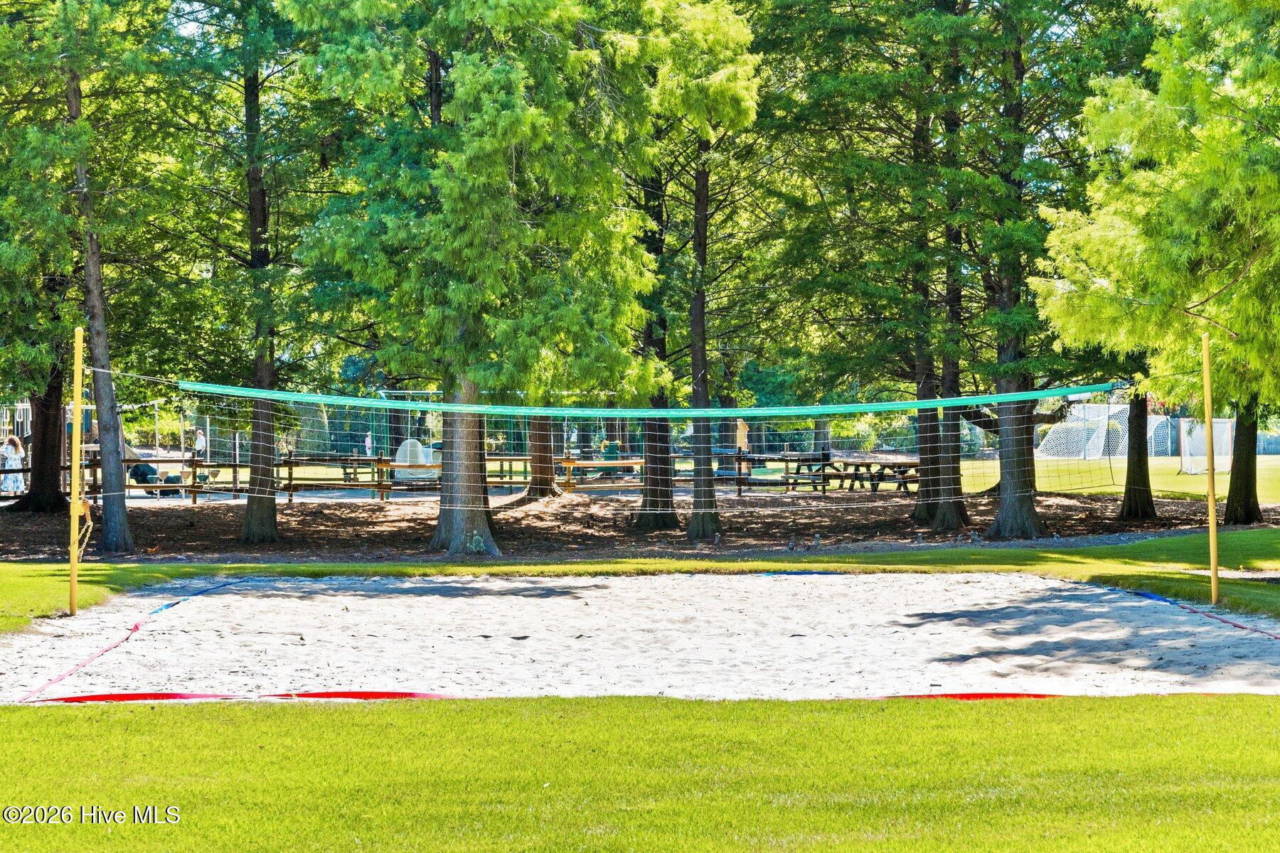 100509238 | Photo 124