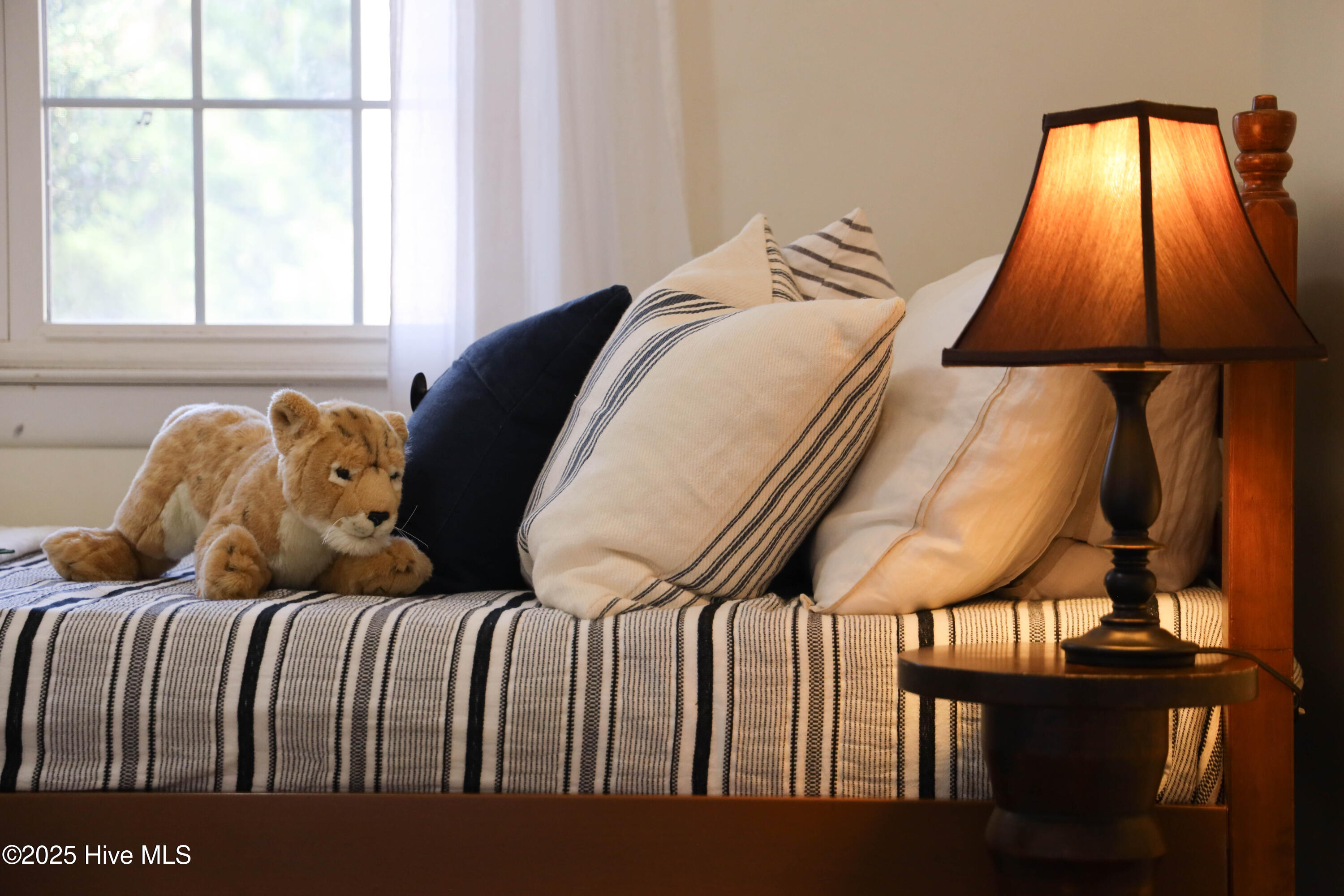 100546287 | Photo 27