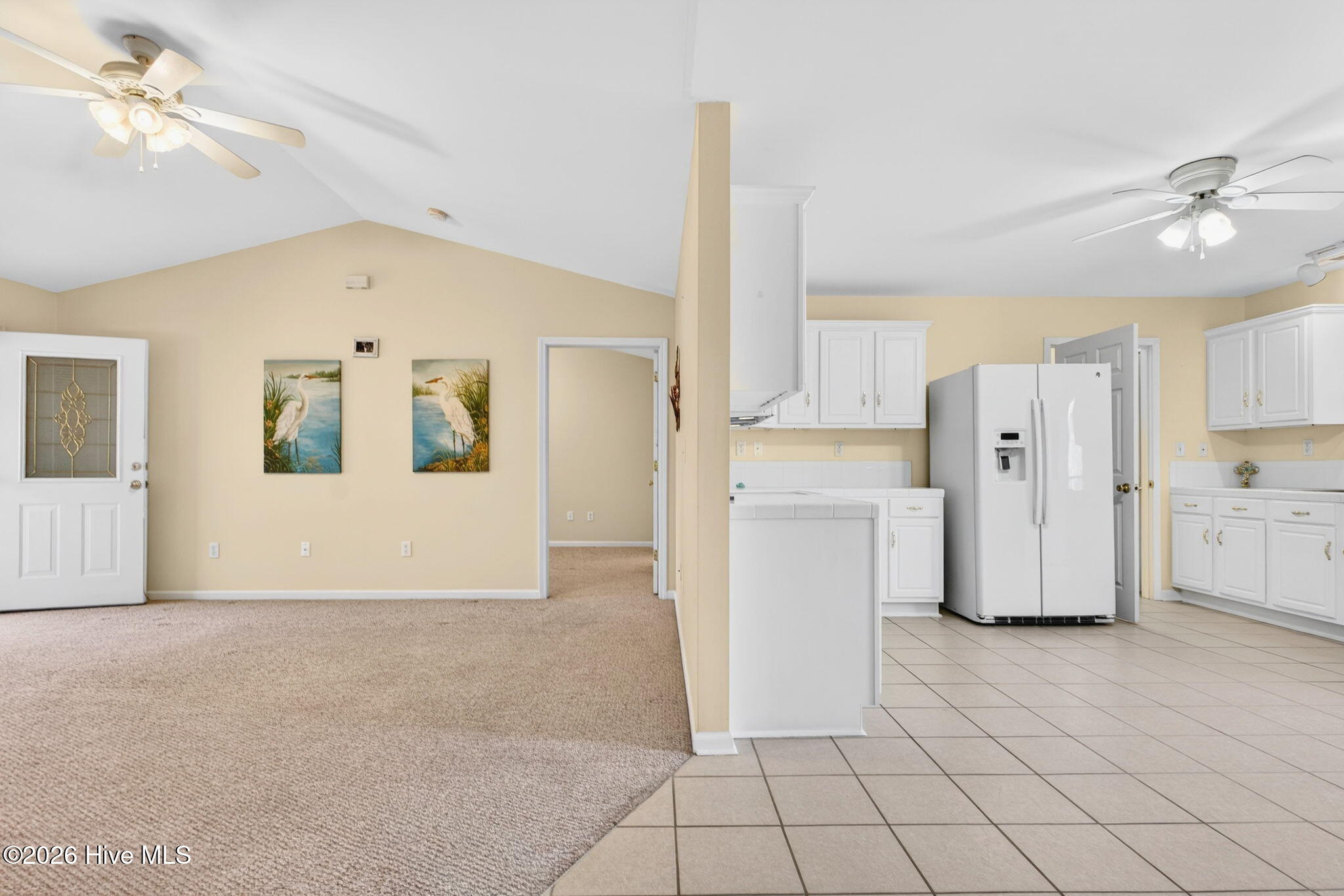 100558532 | Photo 17