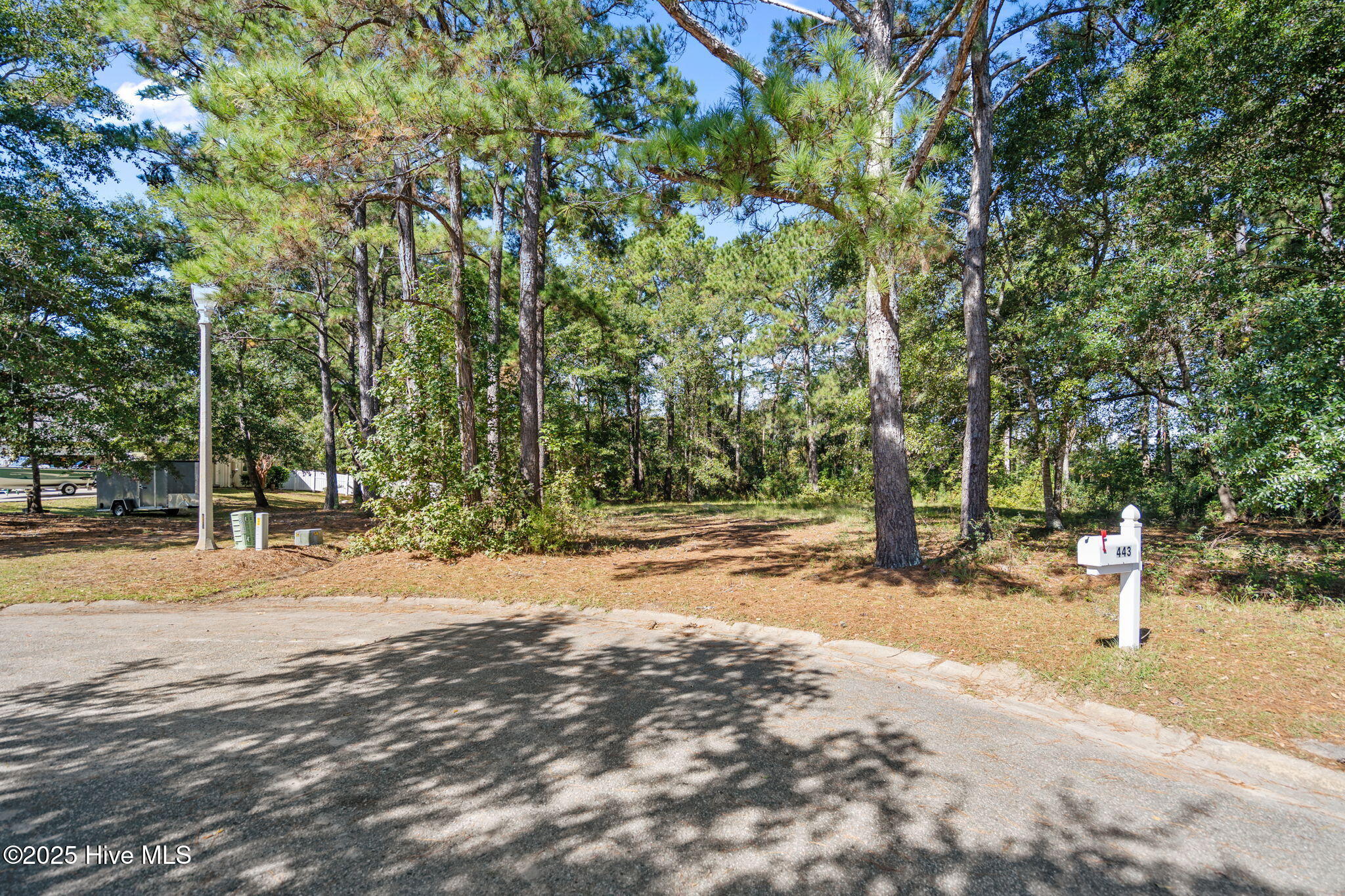 100537620 | Photo 17