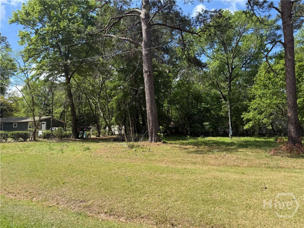 210 Wallace Circle, Bloomingdale, GA, 31302