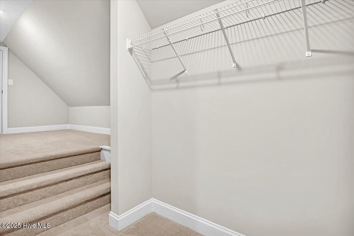 100505838 | Photo 58