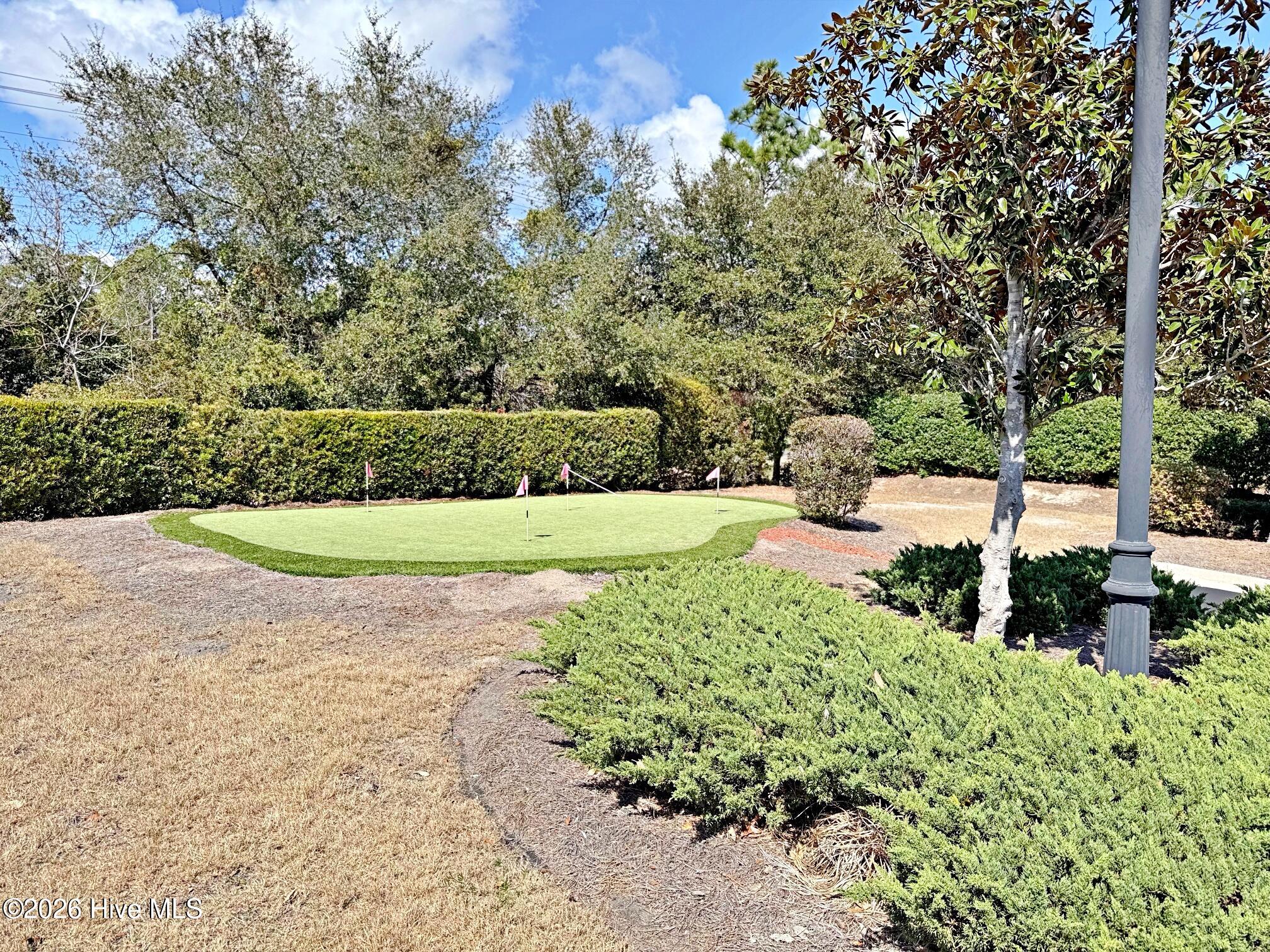 100537475 | Photo 58