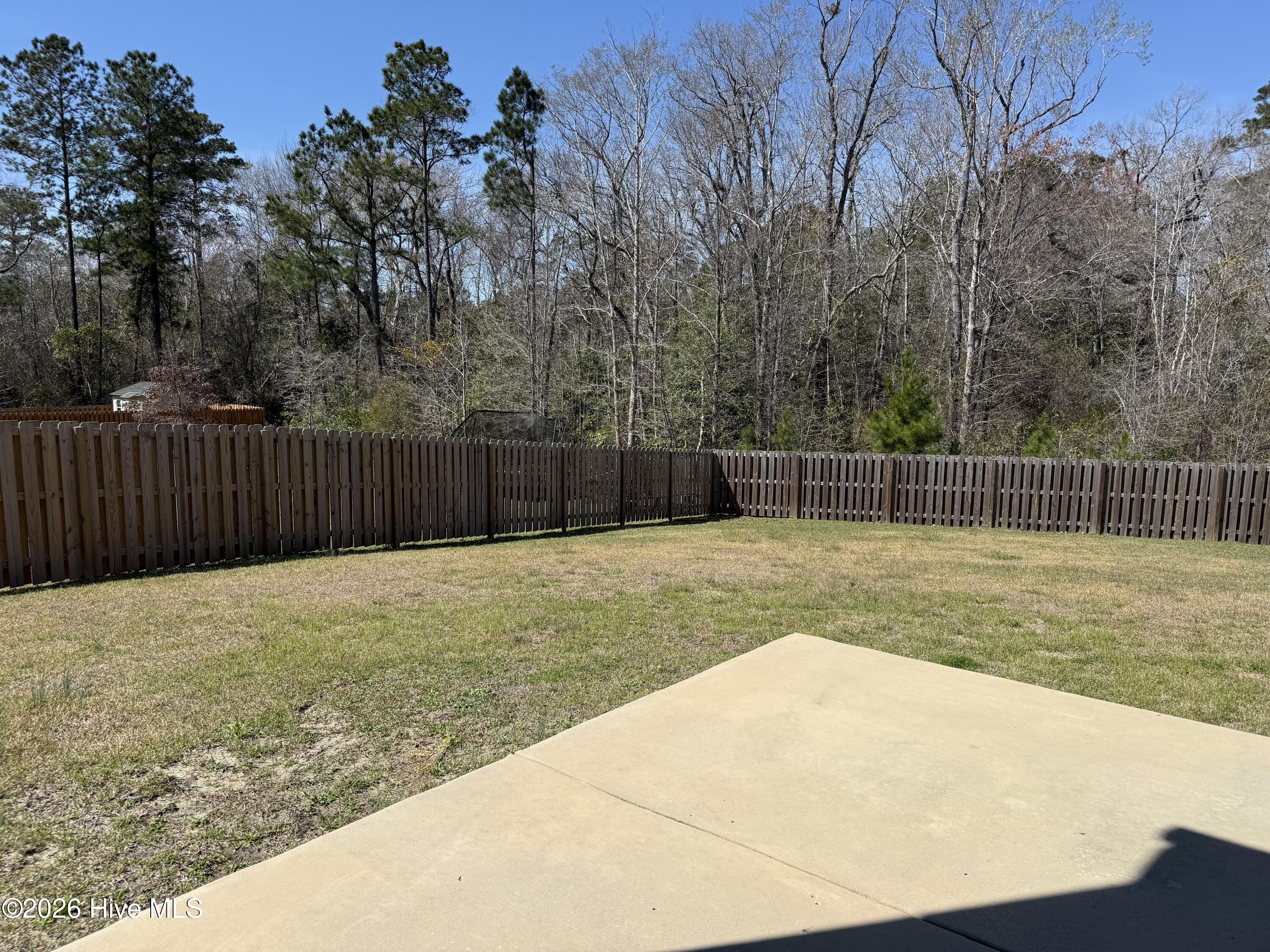 100560888 | Photo 16