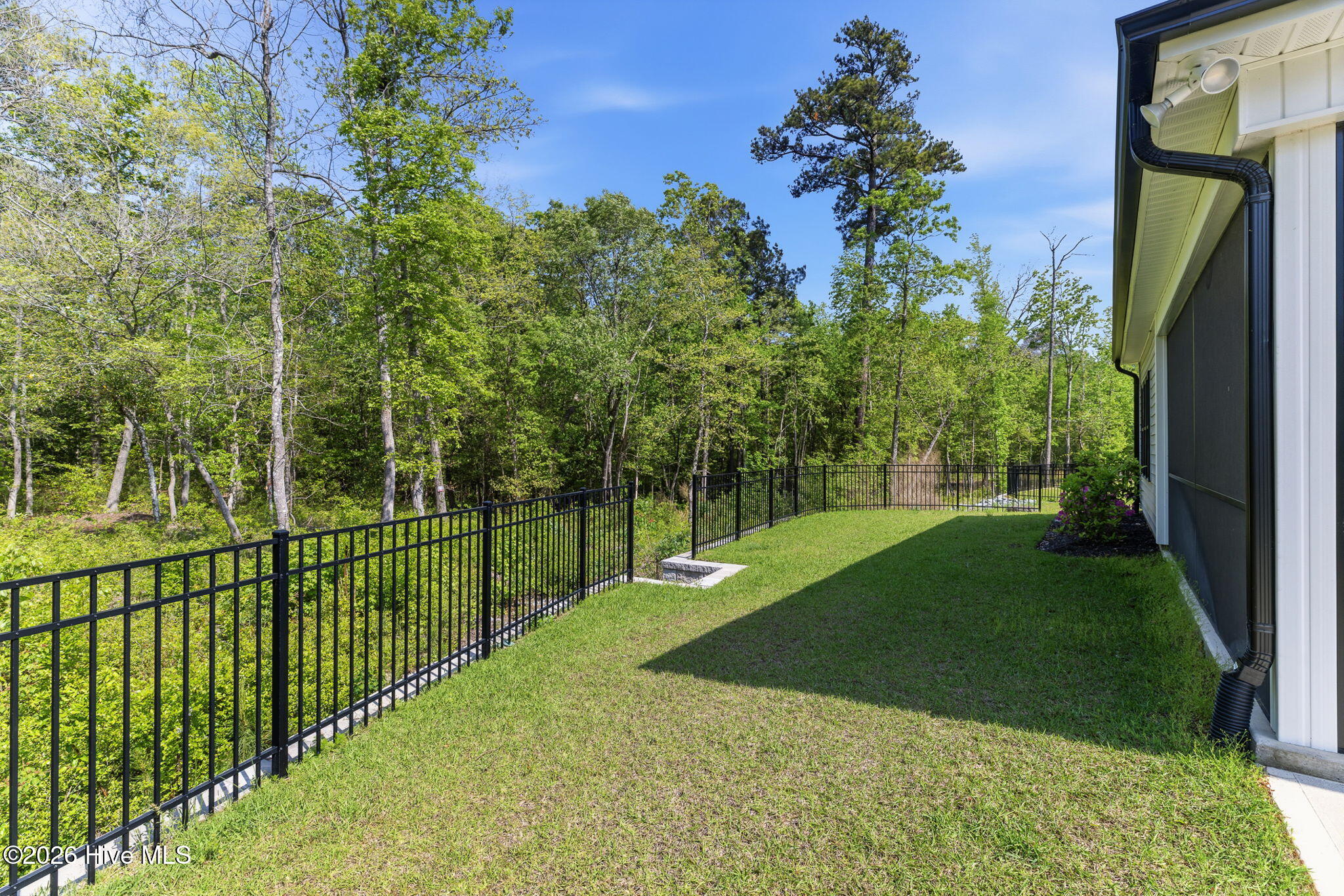 100567561 | Photo 59