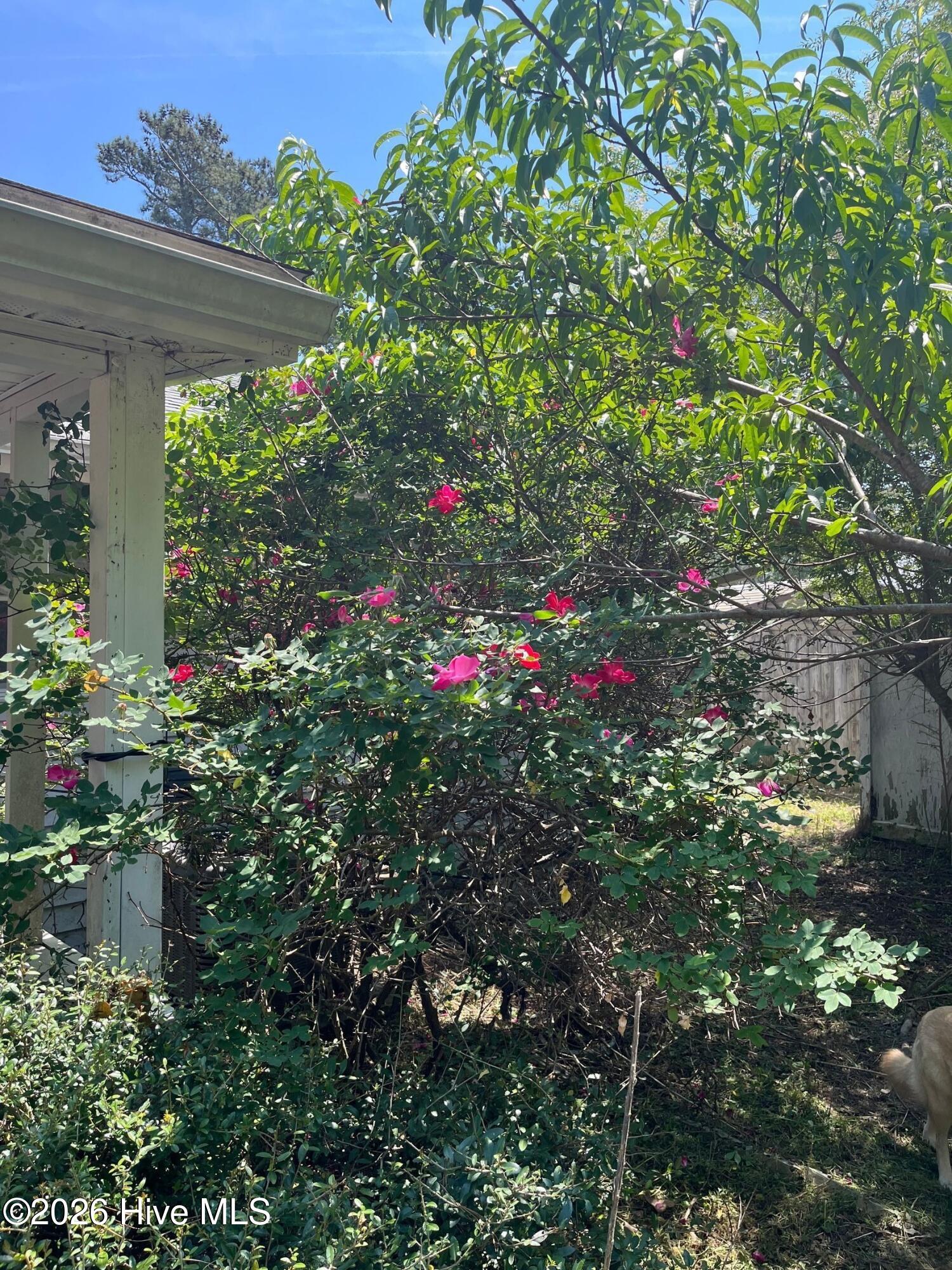 100569627 | Photo 31