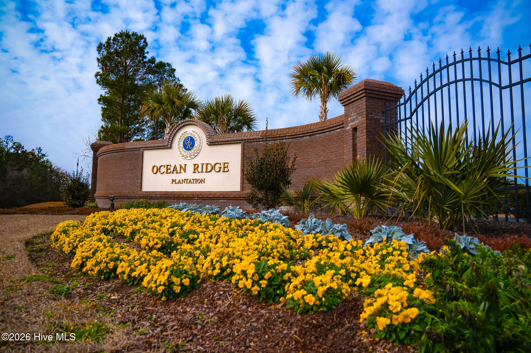 100553449 | Photo 13