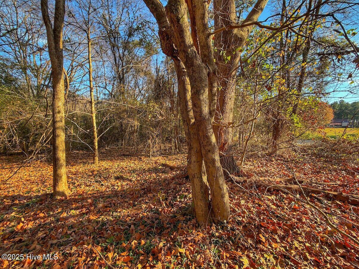 0 Mabry Mill Road, Henderson, NC, 27537