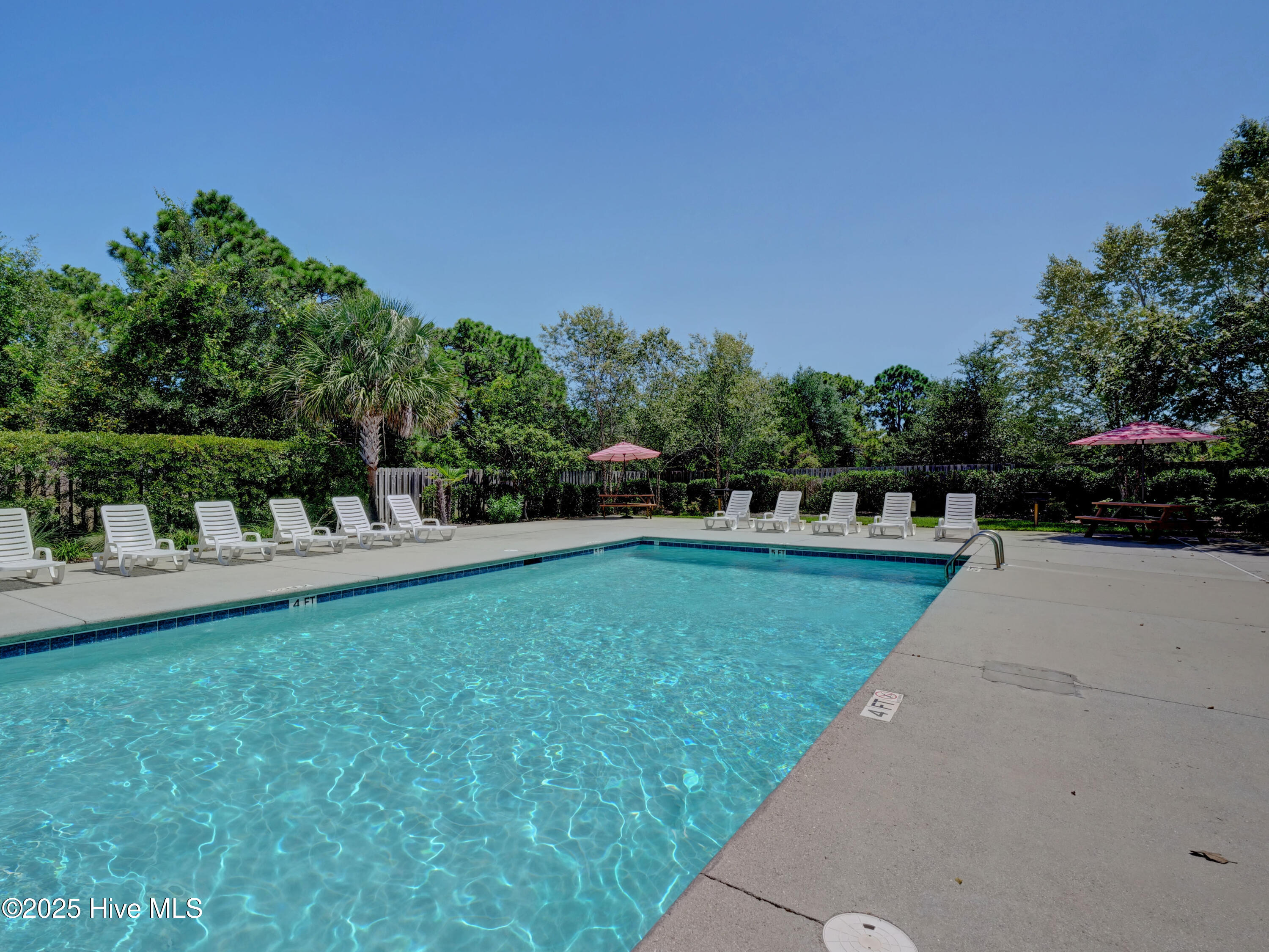 100521758 | Photo 18