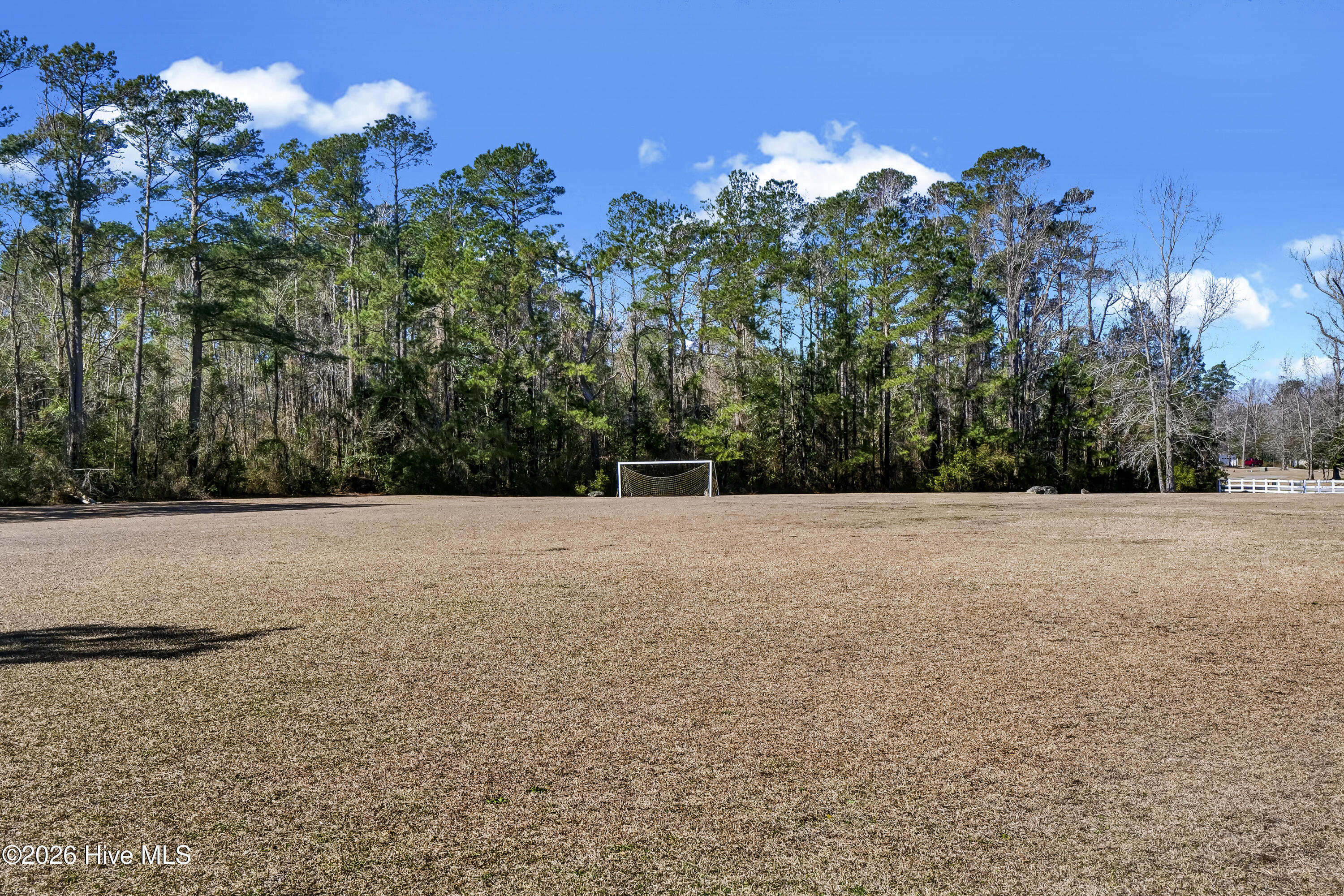 100548252 | Photo 39