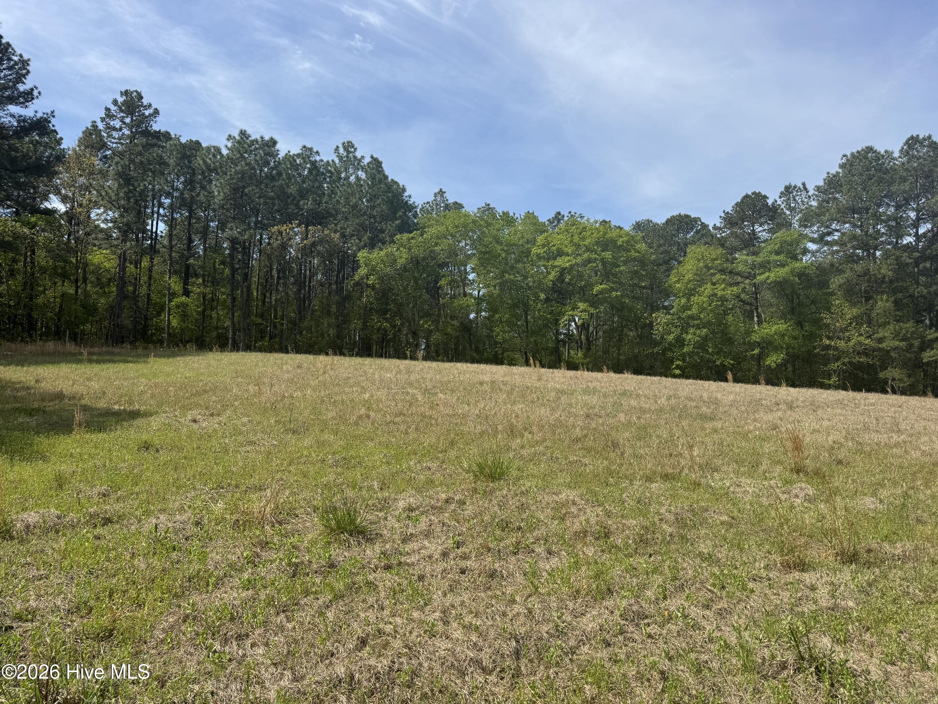 490 Springhill Church Road, Hamlet, NC, 28345