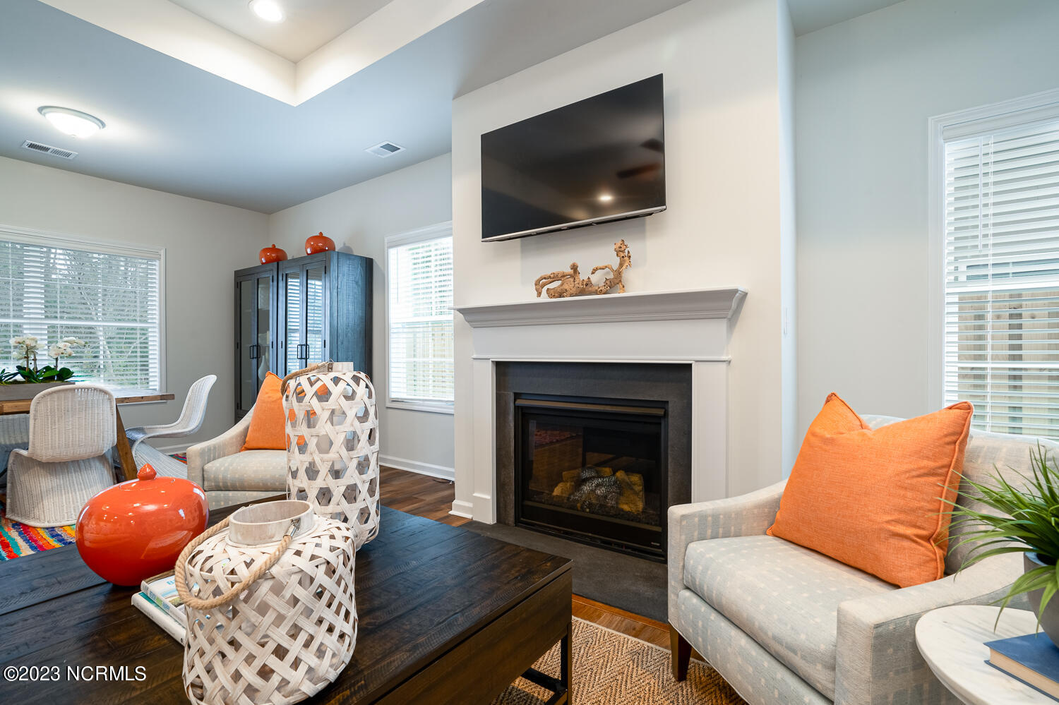 100517567 | Photo 37