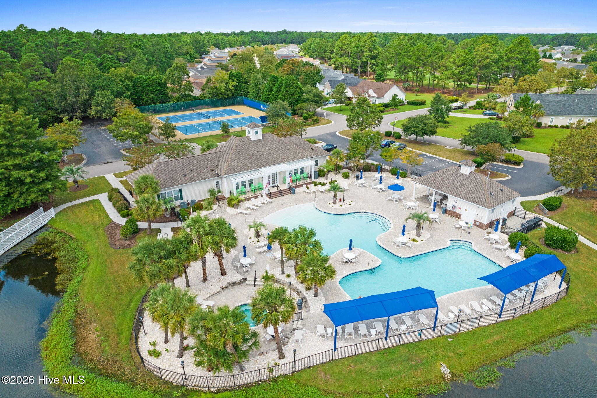 100559381 | Photo 39