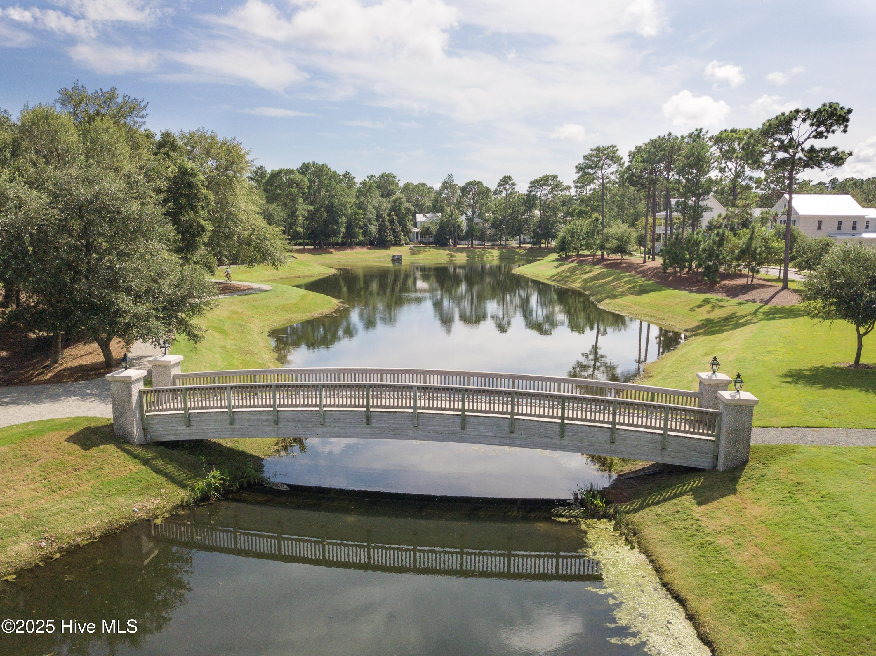 100542273 | Photo 74