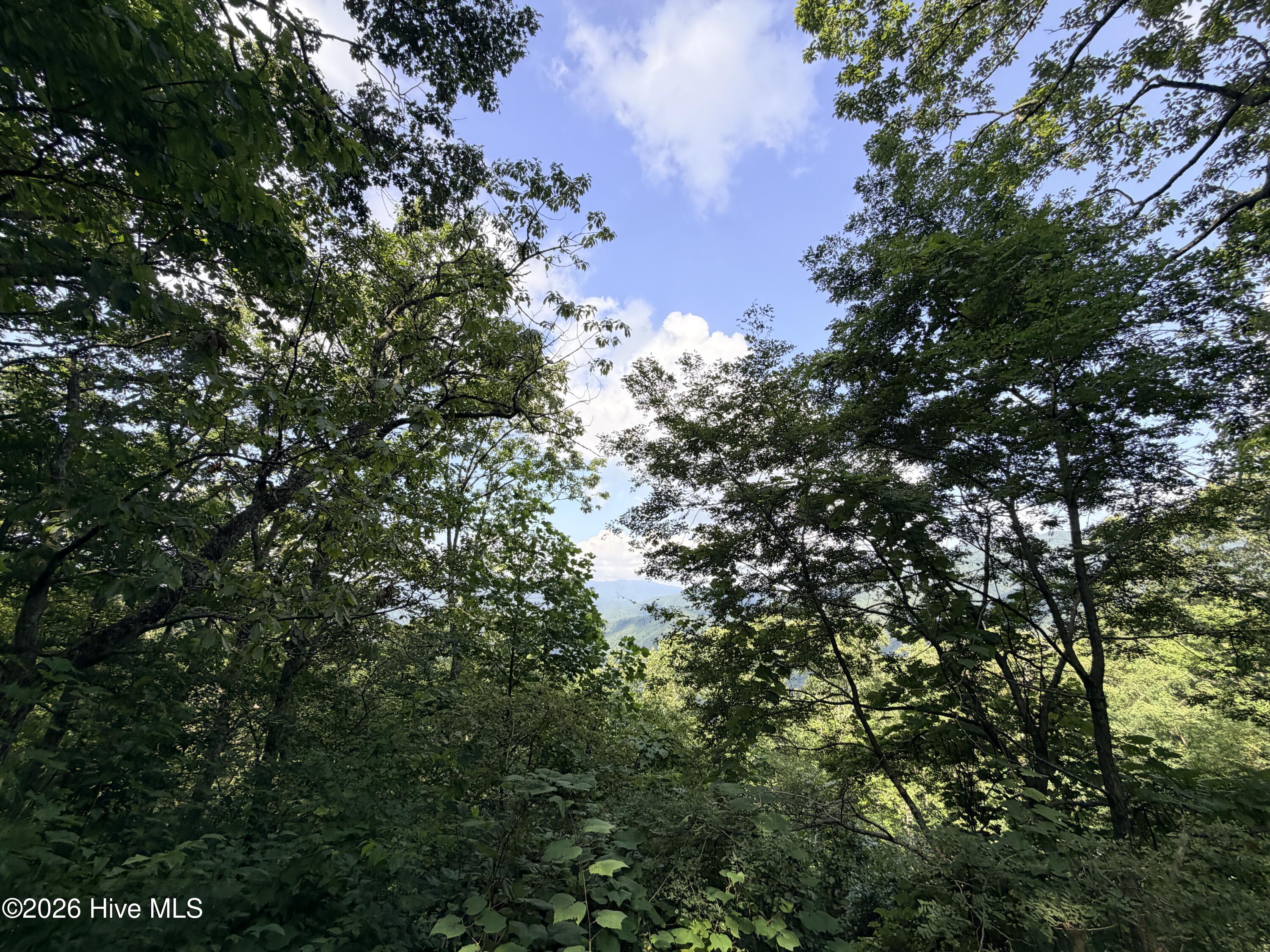5th image of Lot 7 Mystic Ridge Way W, Topton, NC 28781 | MLS# 100596645