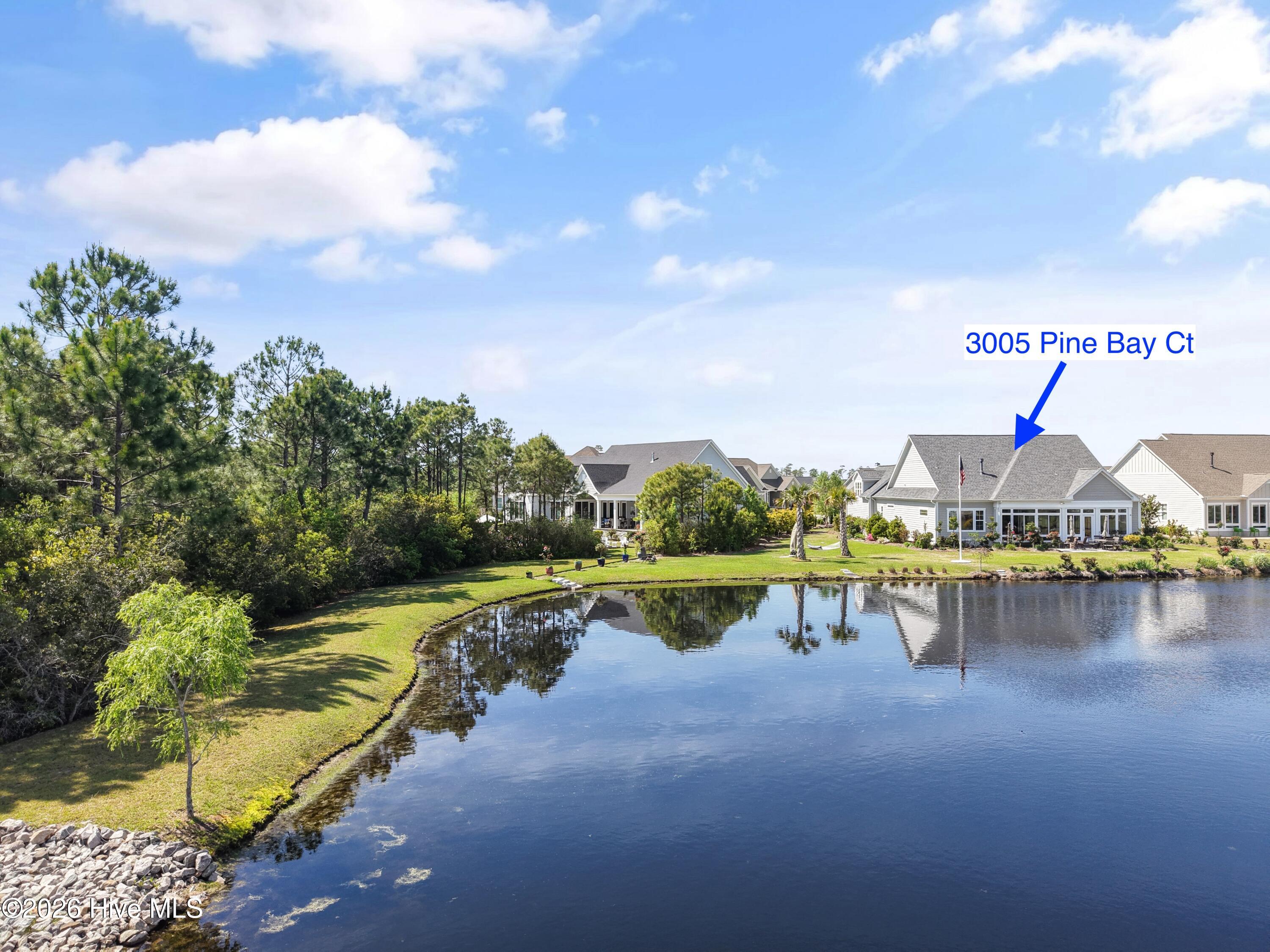 100560288 | Photo 108