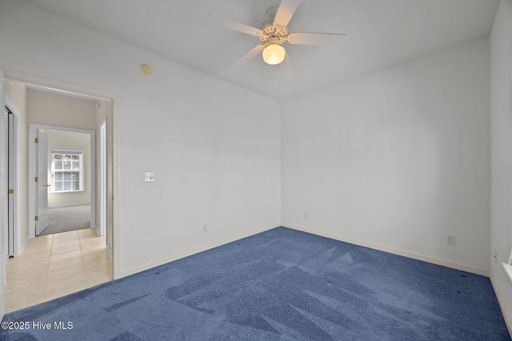 100539449 | Photo 13