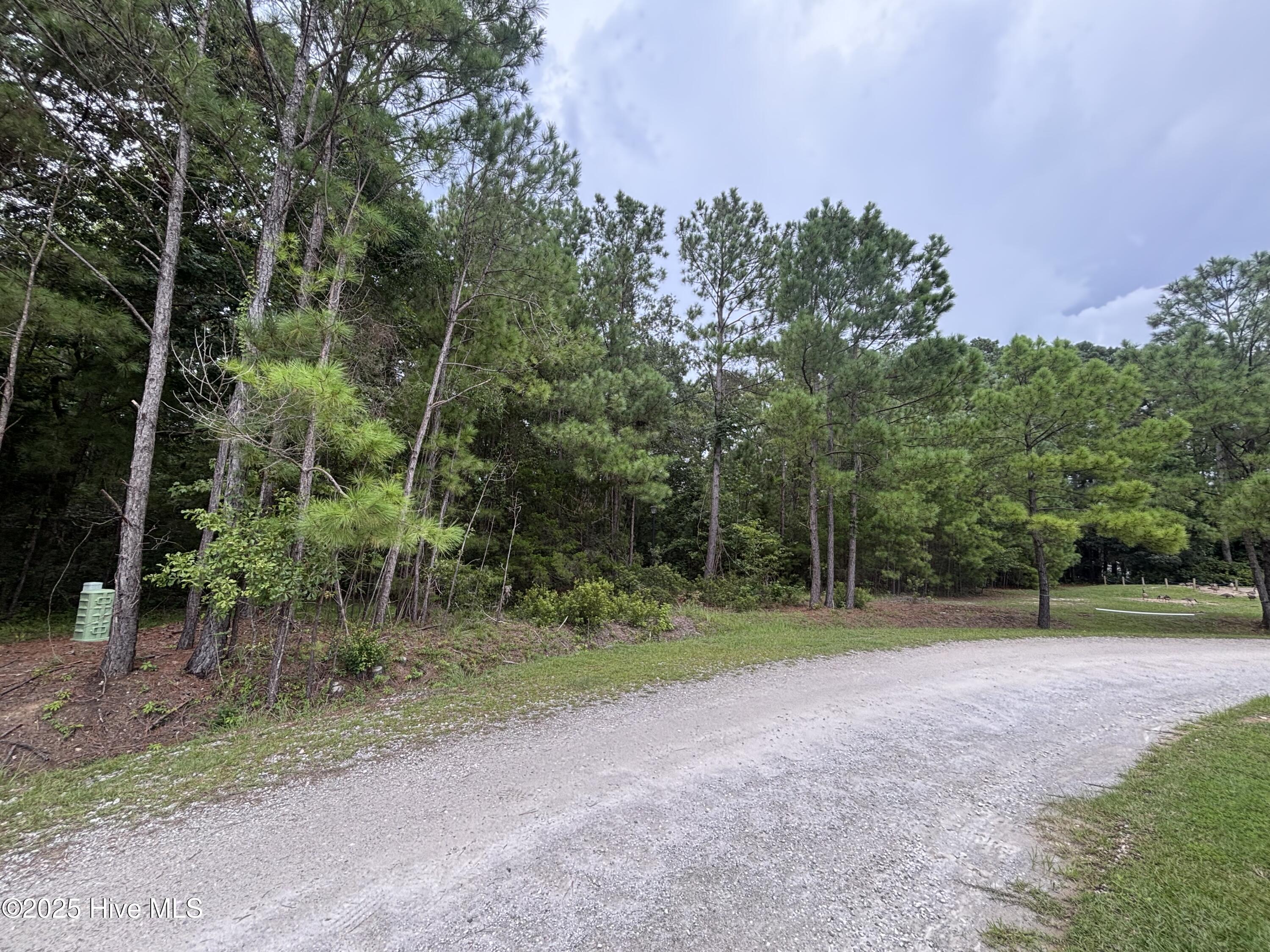 Homes for sale in Shallotte, NC | 4110 Arabian Way Sw, Shallotte, NC 28470 | MLS# 100524830