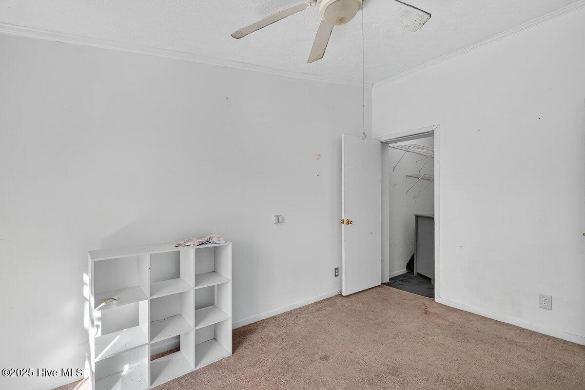 100539817 | Photo 20