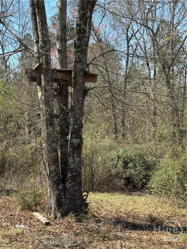 738 Old Mineral Springs Road, Elberton, GA, 30635