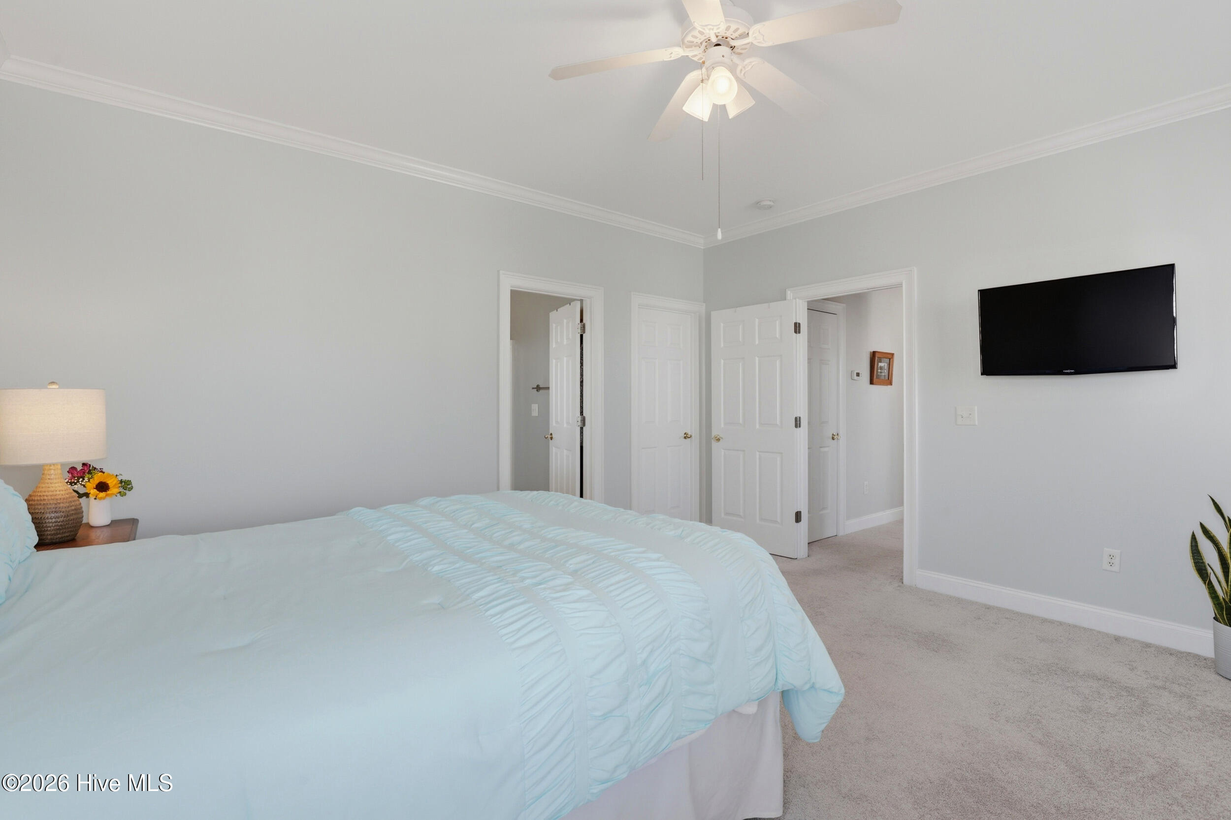 100559710 | Photo 39