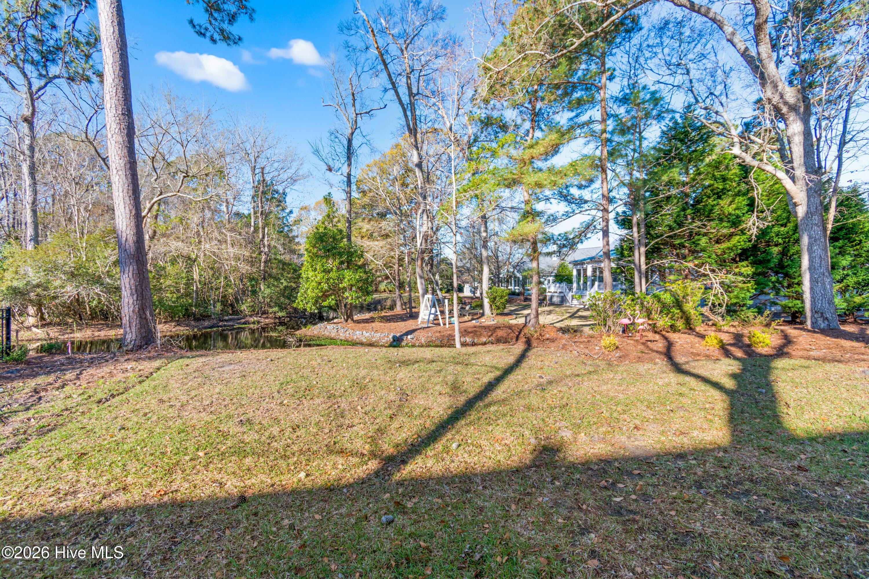 100561592 | Photo 45