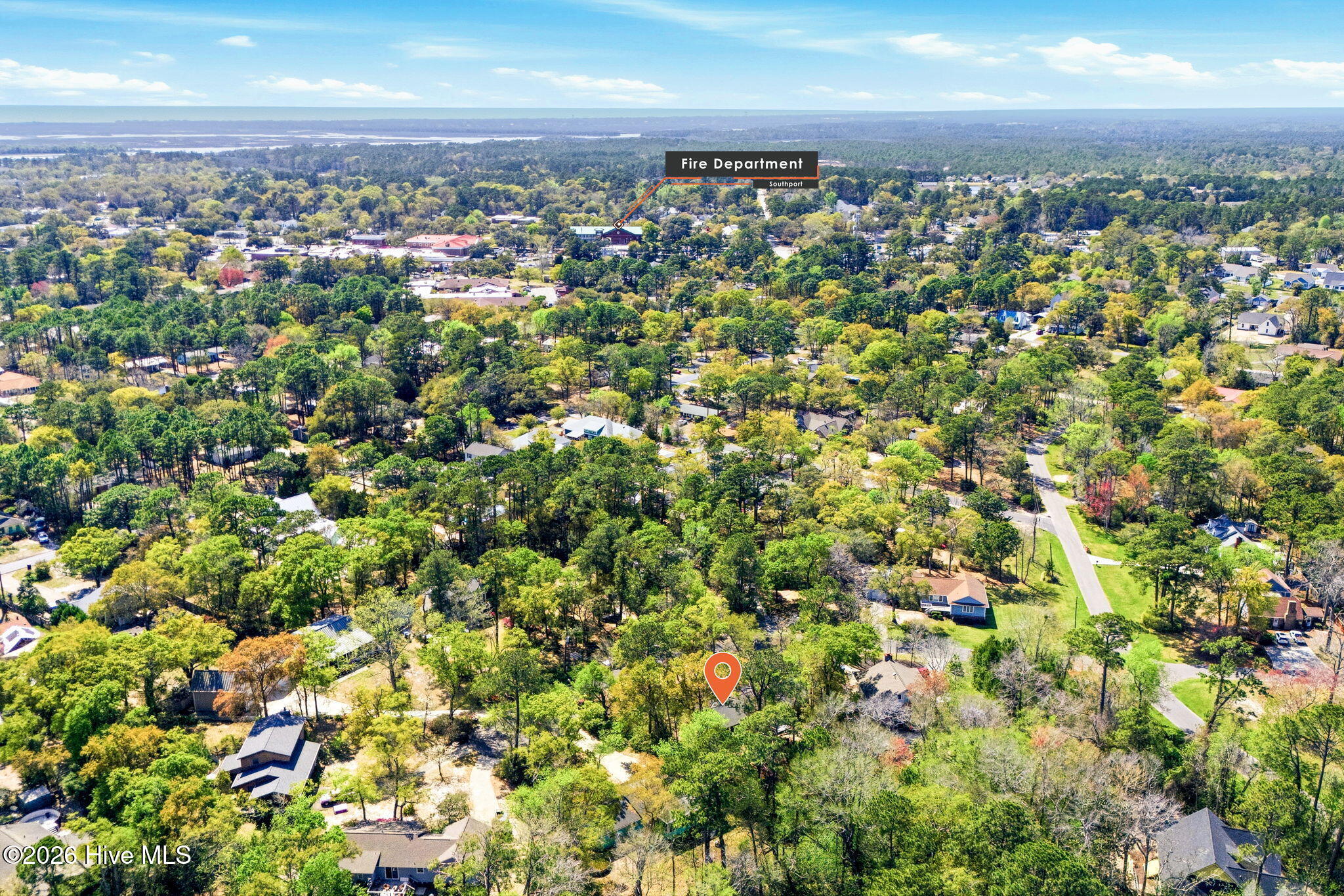 100564618 | Photo 47