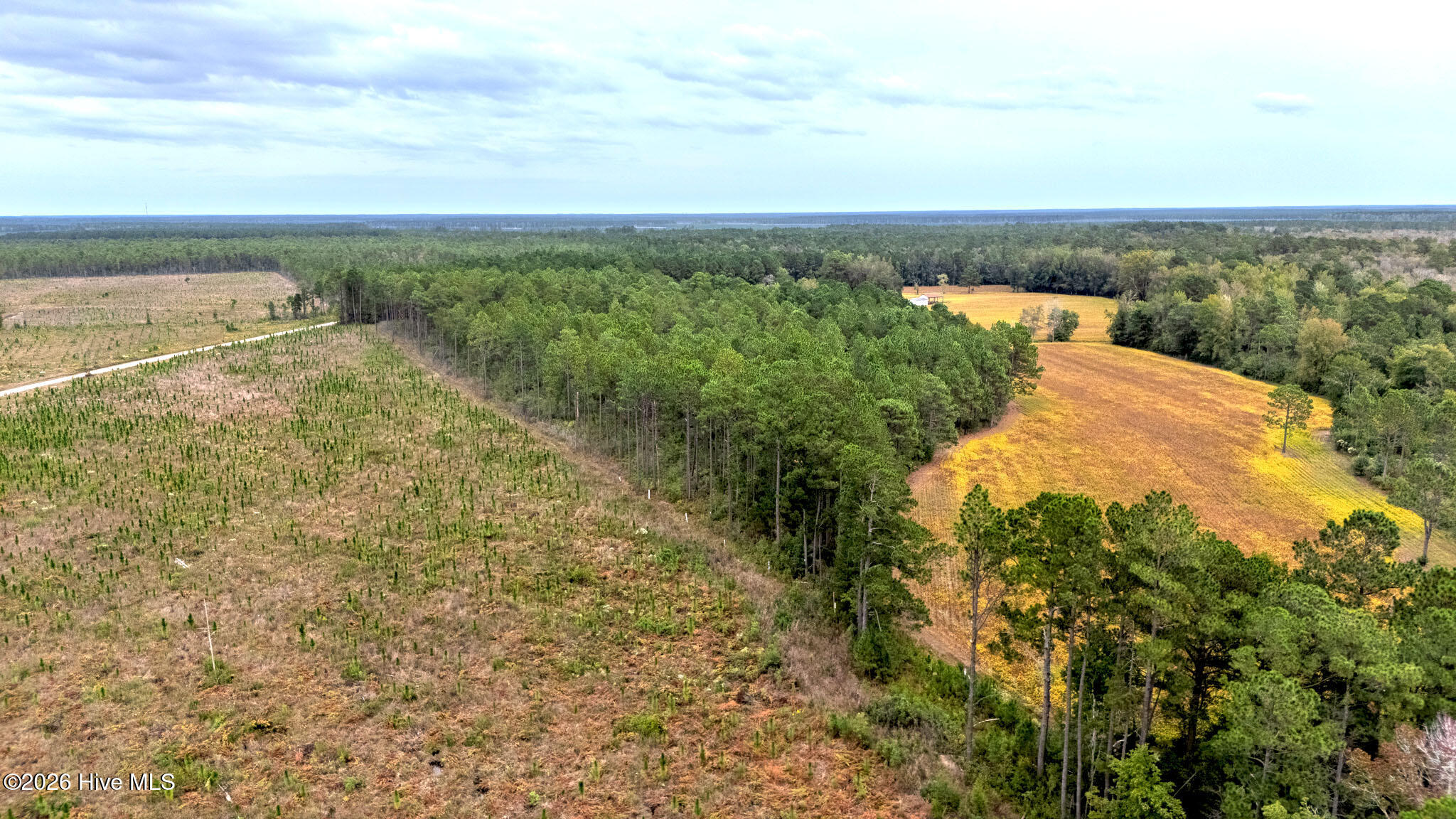 10.57 Ac Egypt Road NW, Ash, NC, 28420