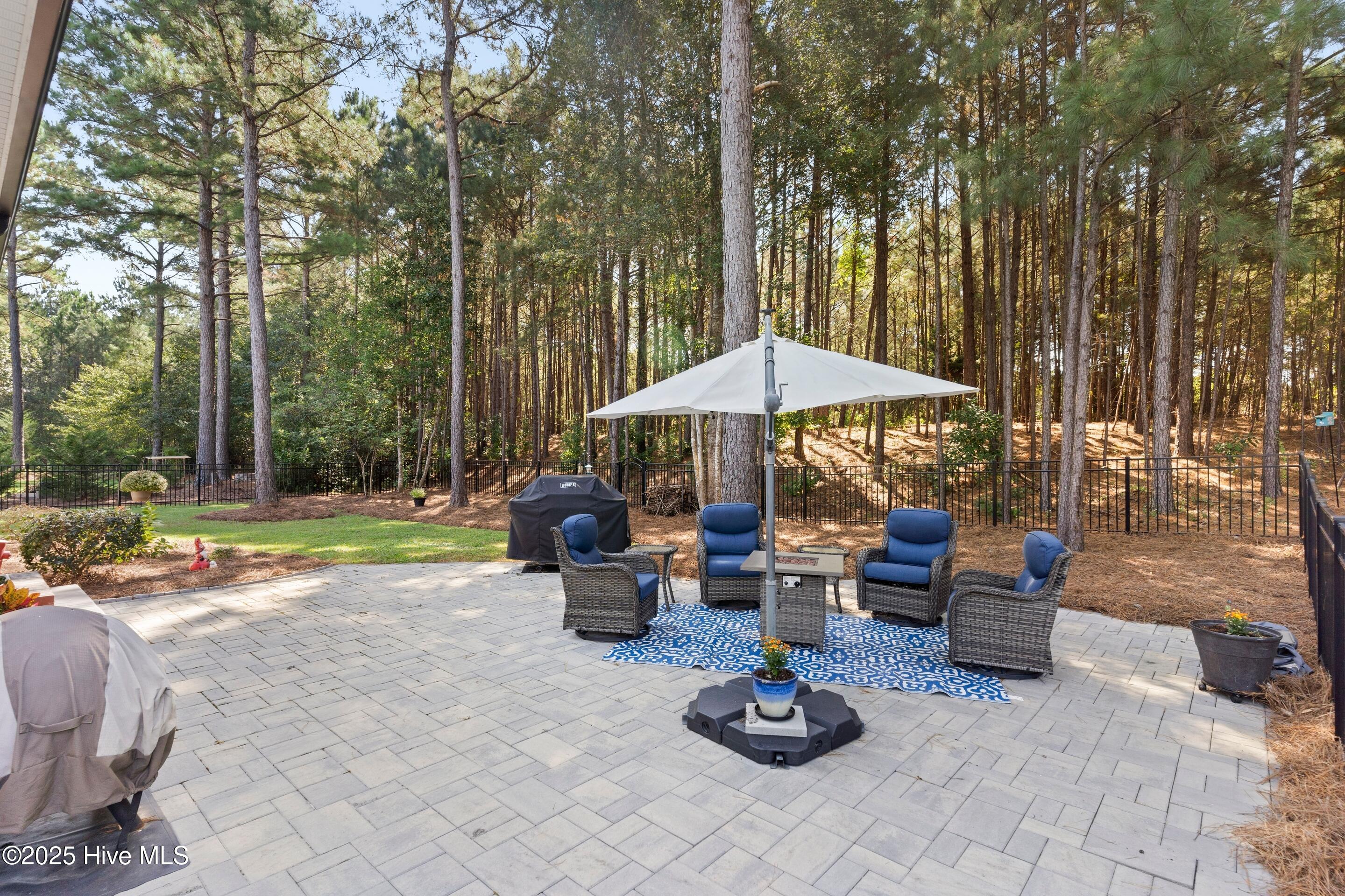 100532334 | Photo 40