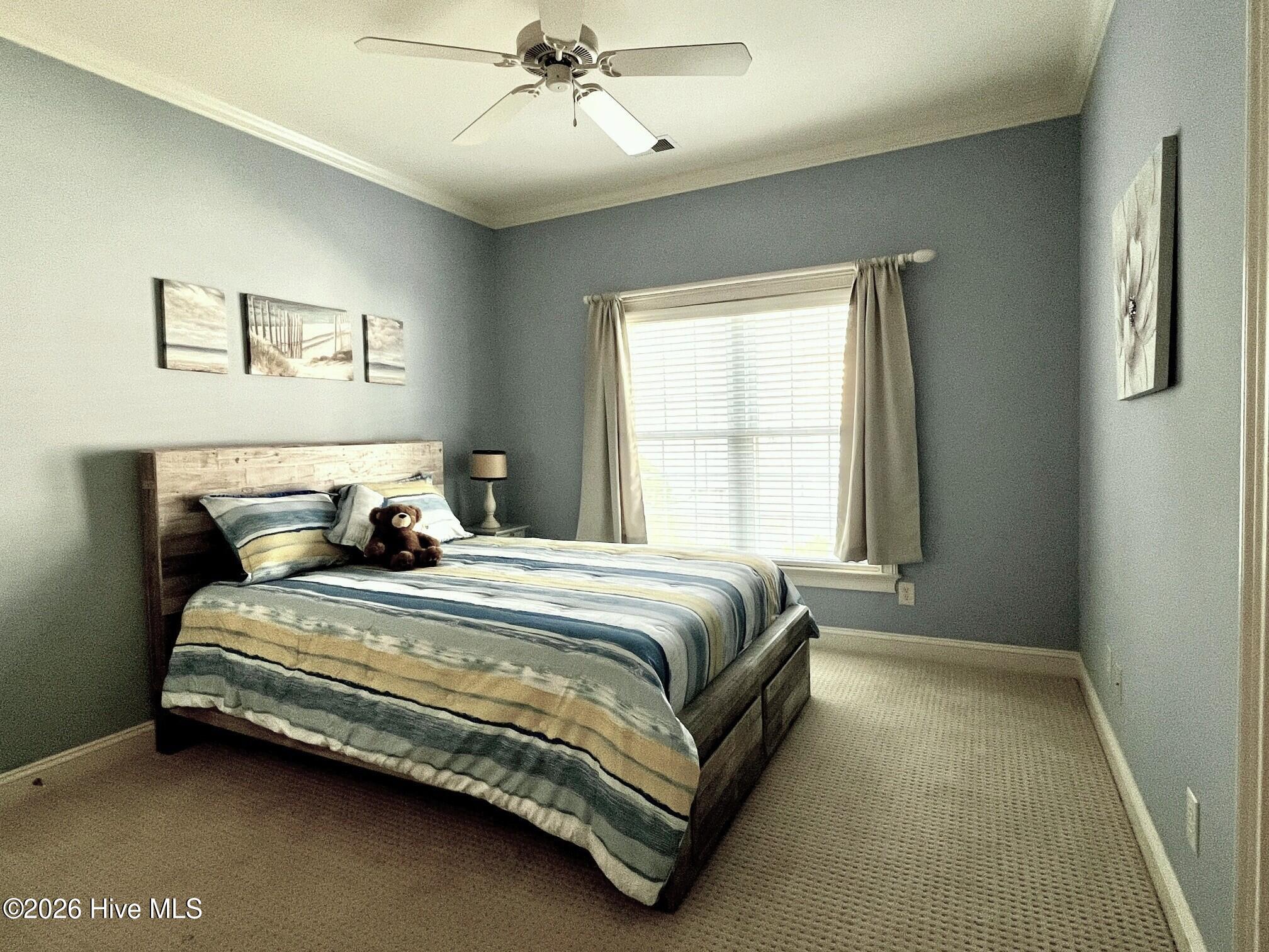 100566129 | Photo 31