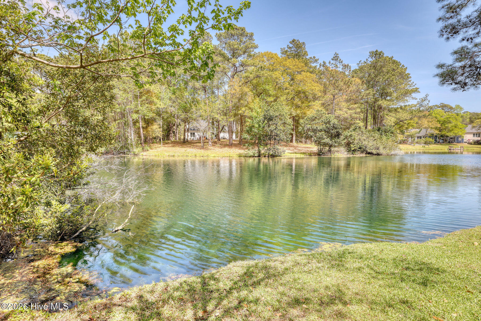 100567375 | Photo 51