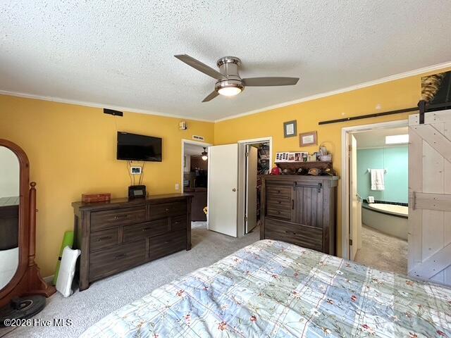 100566420 | Photo 50