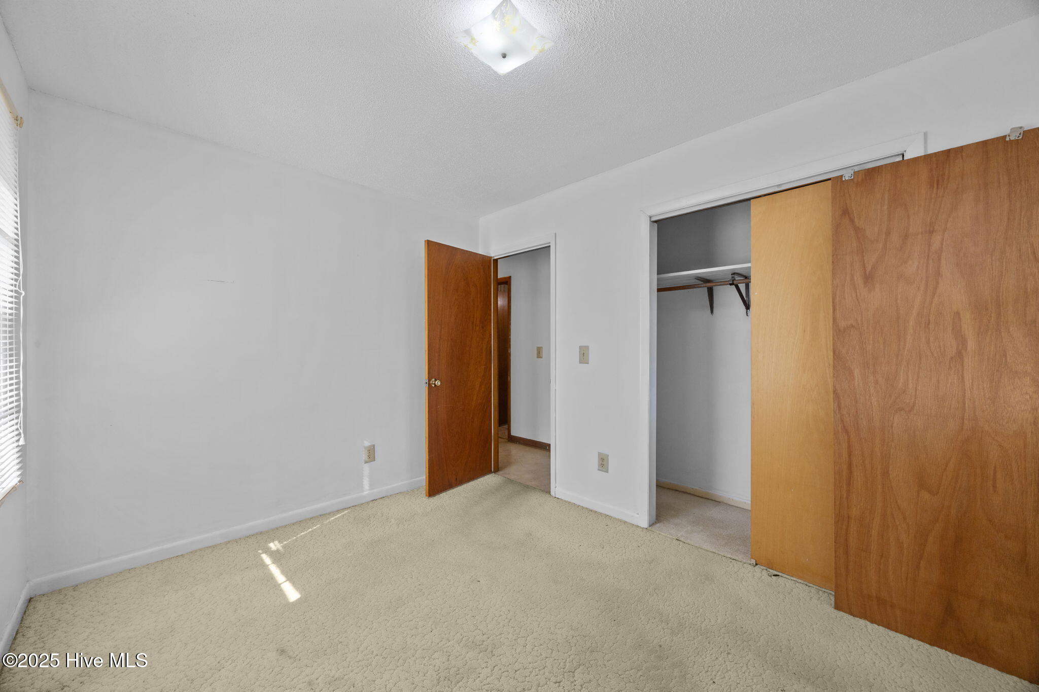 100542323 | Photo 23