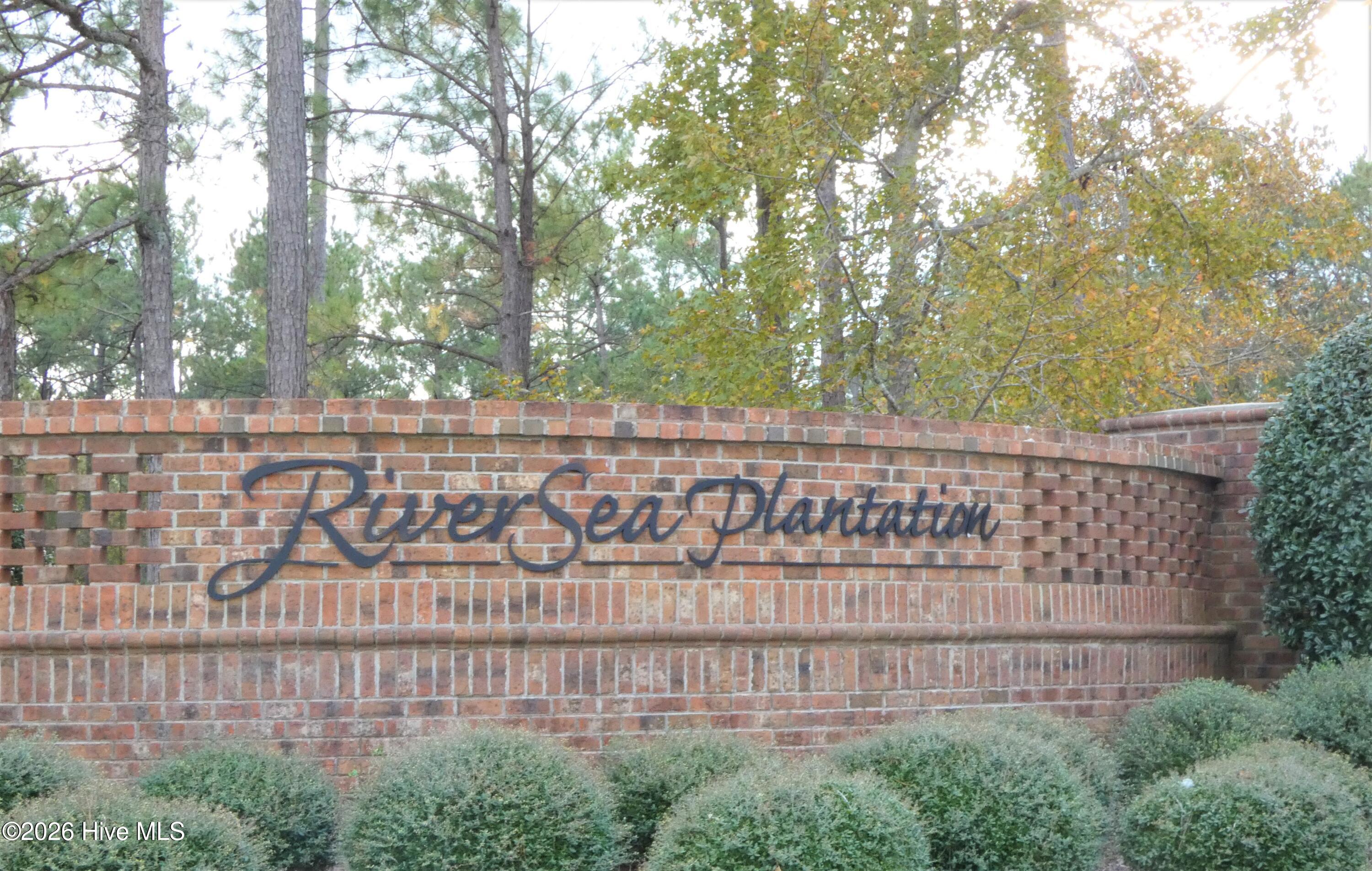 100558681 | Photo 52