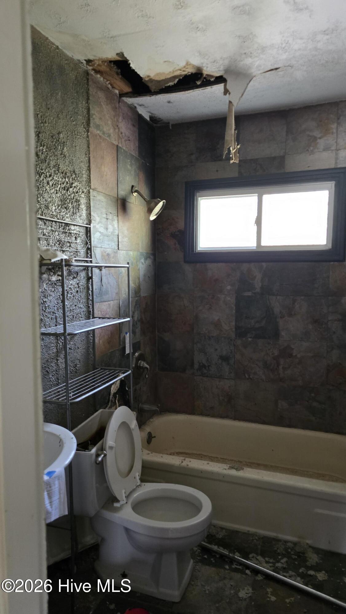 100561564 | Photo 37