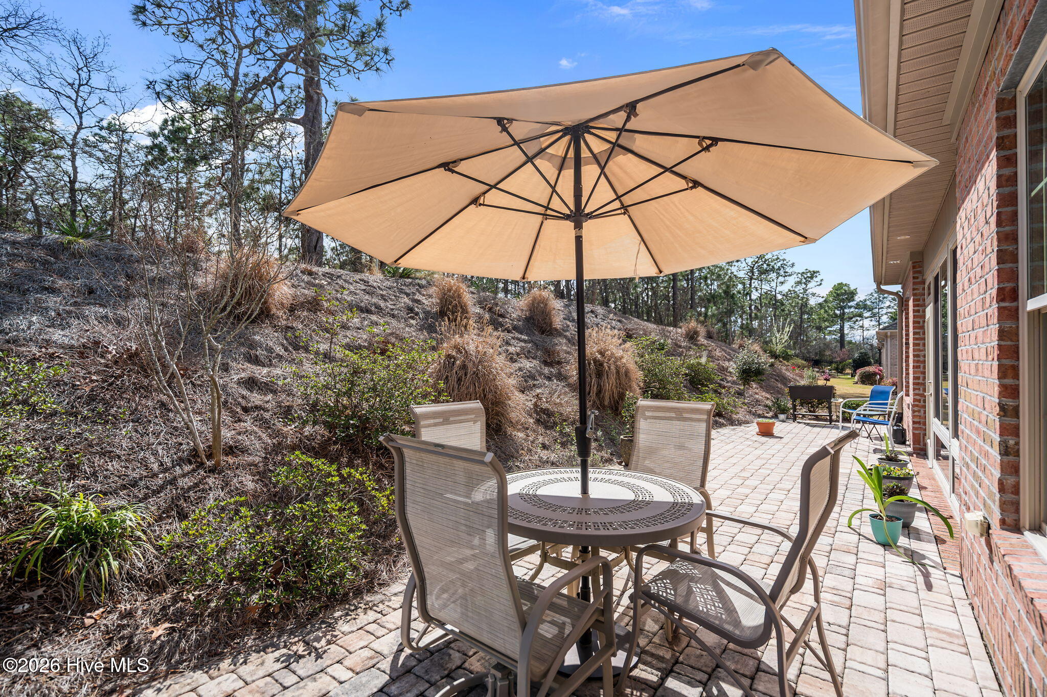 100565416 | Photo 48