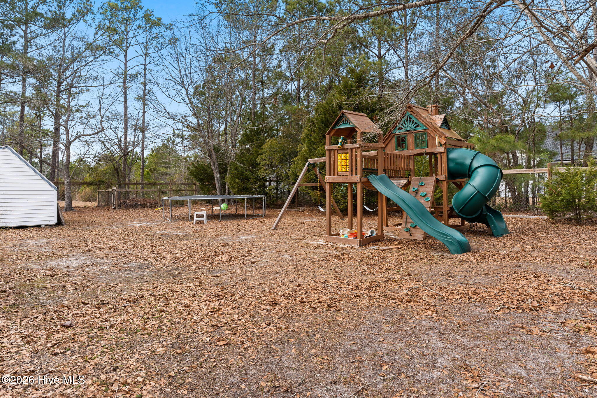 100556346 | Photo 35