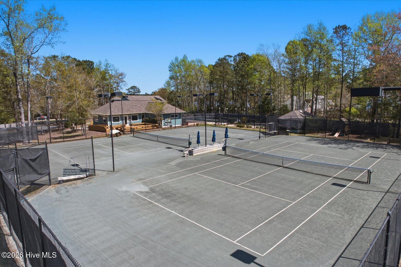 100564085 | Photo 44